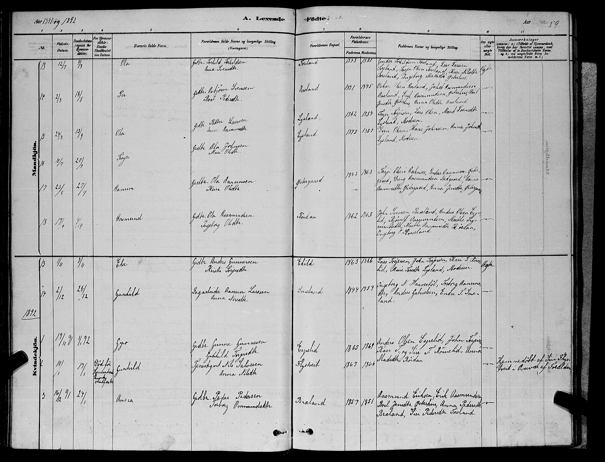 Åseral sokneprestkontor, AV/SAK-1111-0051/F/Fb/L0002: Parish register (copy) no. B 2, 1878-1899, p. 59