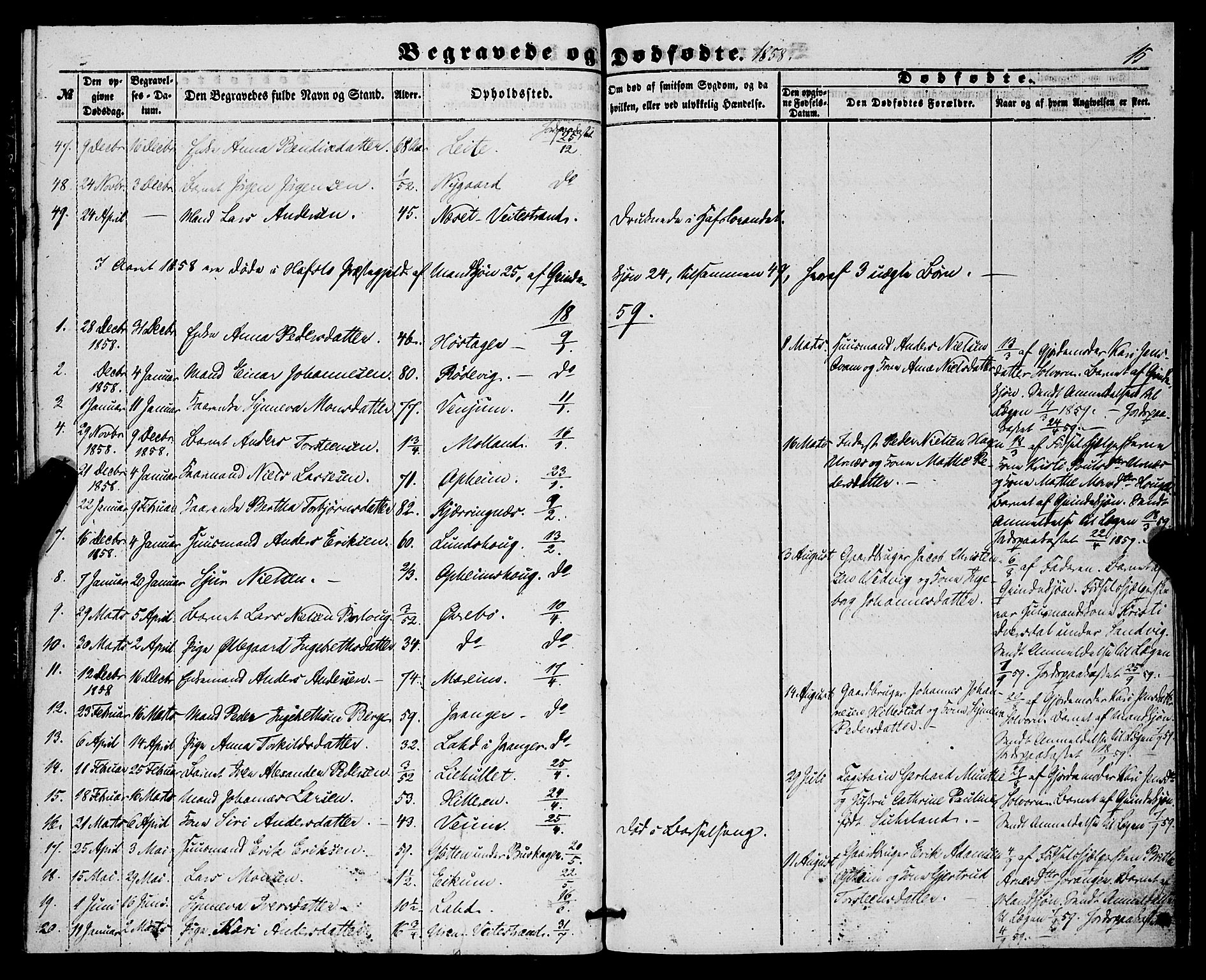 Hafslo sokneprestembete, AV/SAB-A-80301/H/Haa/Haaa/L0010: Parish register (official) no. A 10, 1853-1876, p. 15