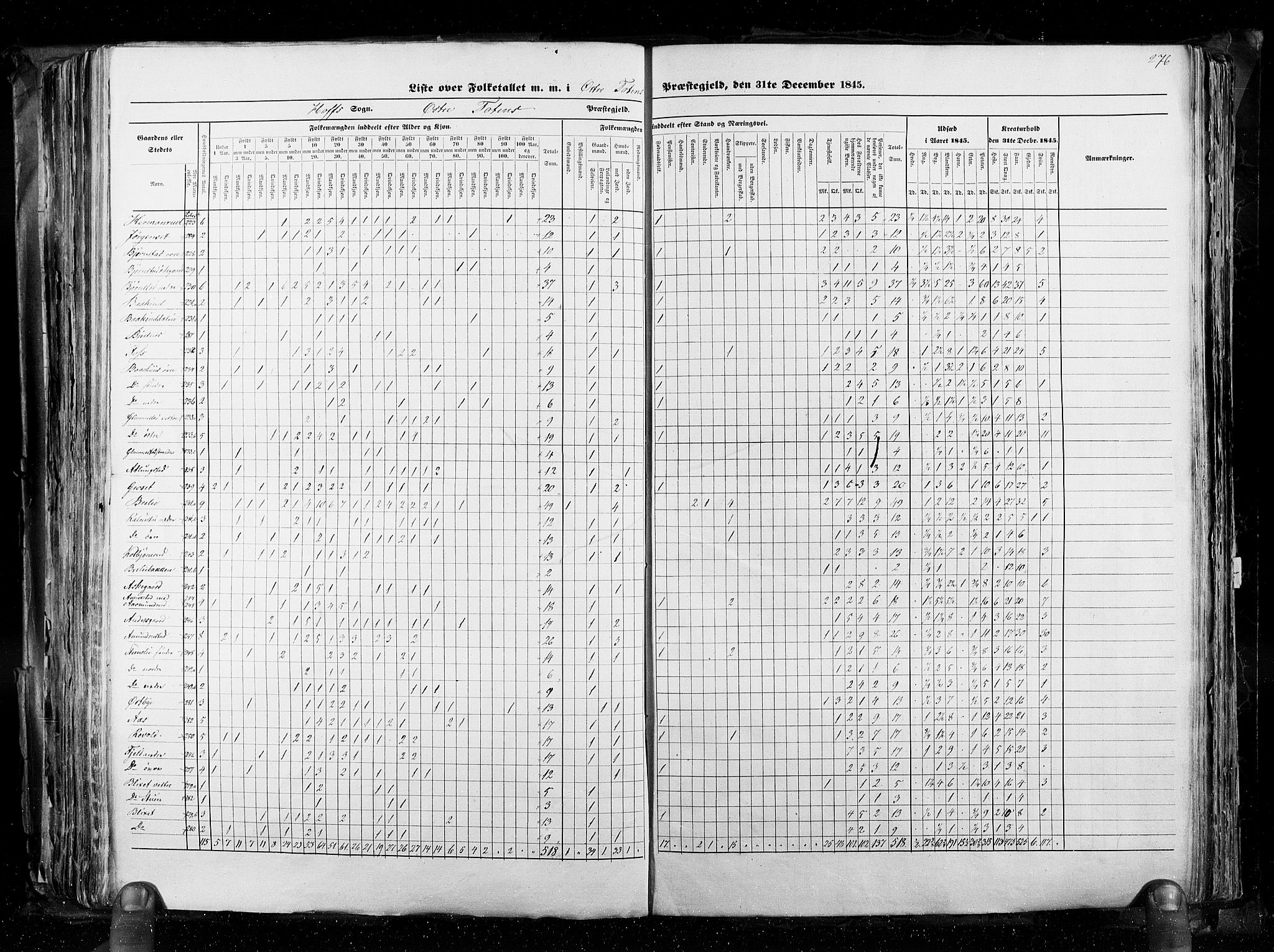 RA, Census 1845, vol. 3: Hedemarken amt og Kristians amt, 1845, p. 276