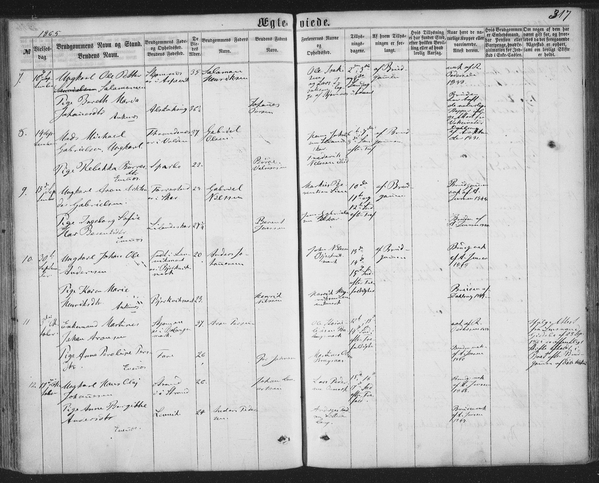 Ministerialprotokoller, klokkerbøker og fødselsregistre - Nordland, AV/SAT-A-1459/863/L0896: Parish register (official) no. 863A08, 1861-1871, p. 317