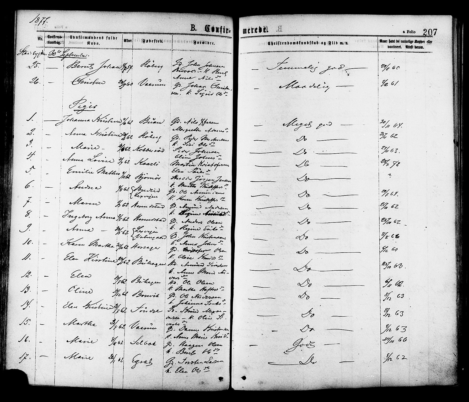 Ministerialprotokoller, klokkerbøker og fødselsregistre - Sør-Trøndelag, AV/SAT-A-1456/646/L0613: Parish register (official) no. 646A11, 1870-1884, p. 207