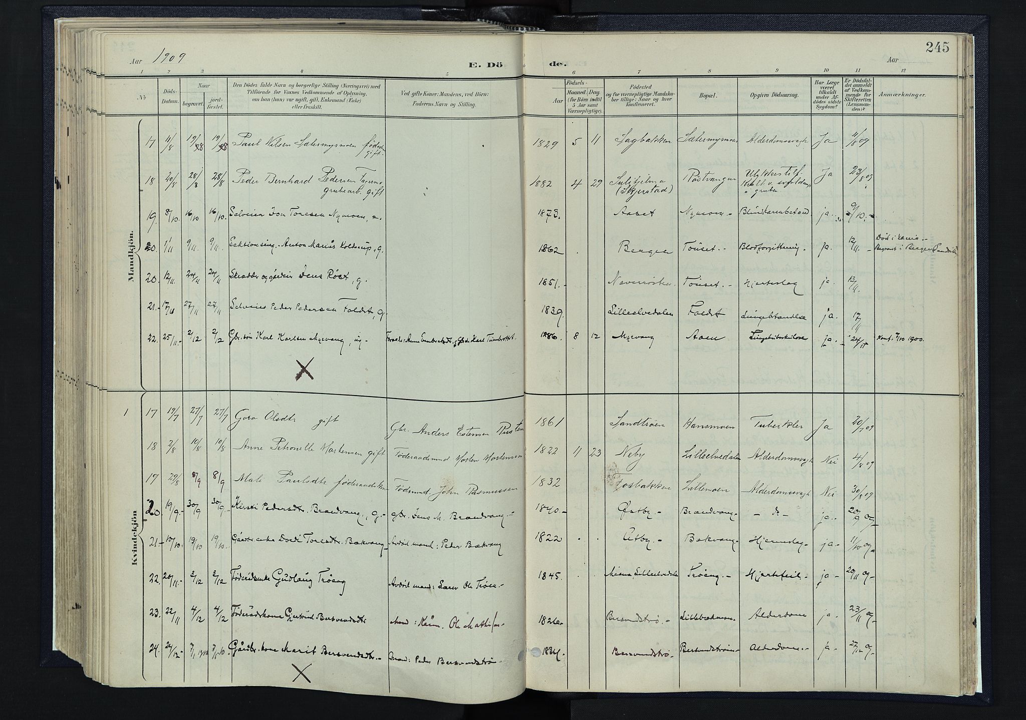 Tynset prestekontor, SAH/PREST-058/H/Ha/Haa/L0025: Parish register (official) no. 25, 1900-1914, p. 245