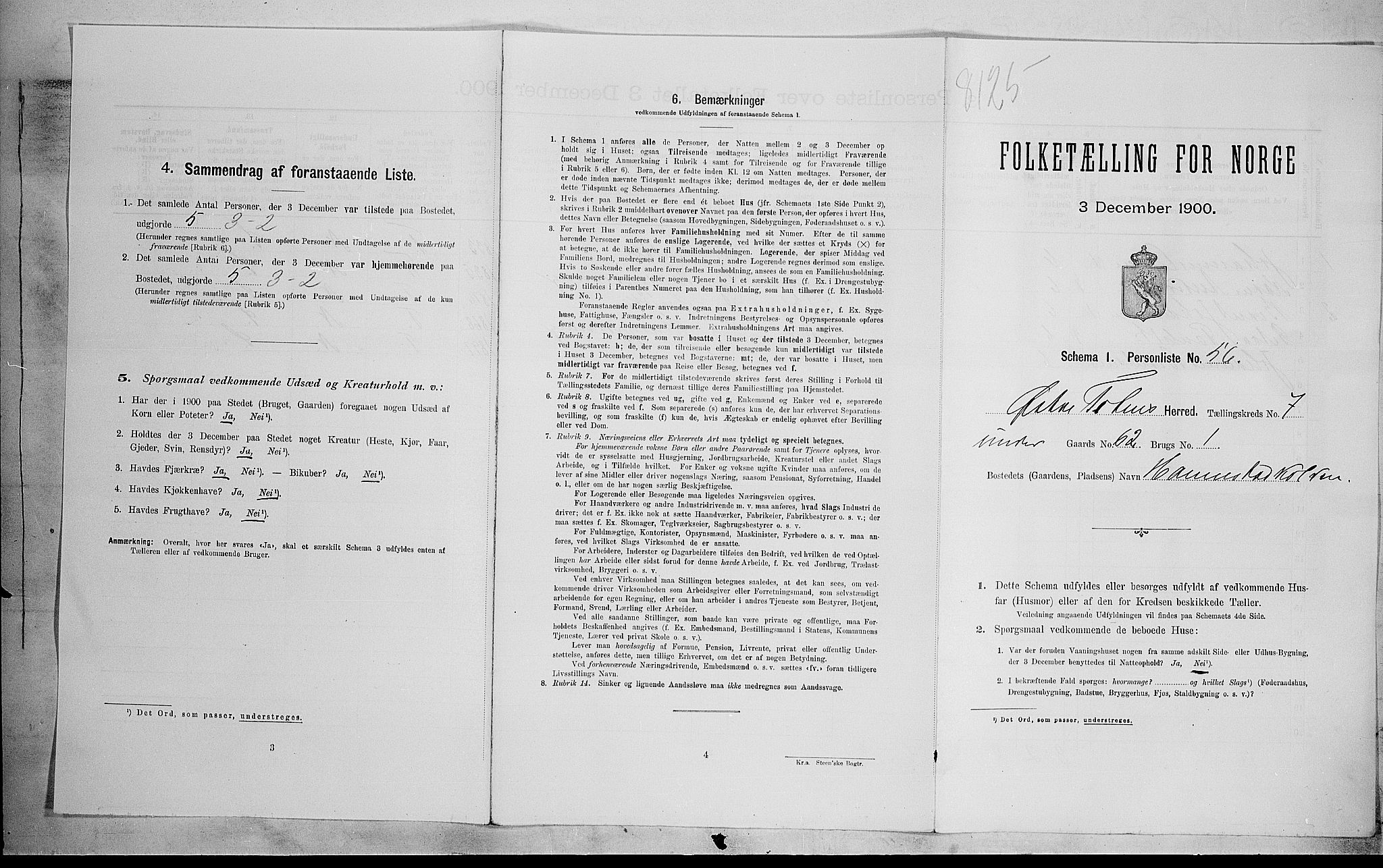 SAH, 1900 census for Østre Toten, 1900, p. 1894