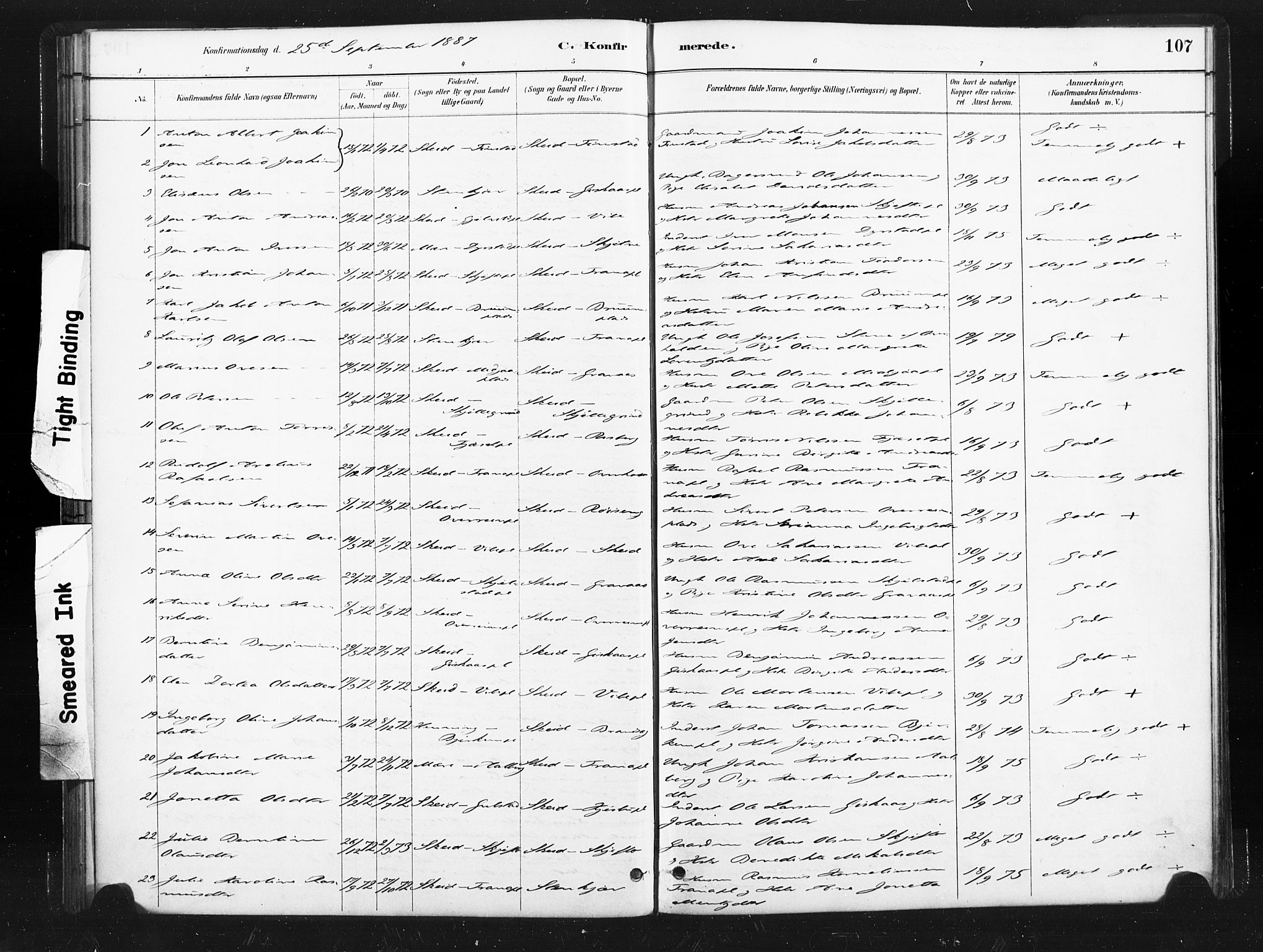 Ministerialprotokoller, klokkerbøker og fødselsregistre - Nord-Trøndelag, SAT/A-1458/736/L0361: Parish register (official) no. 736A01, 1884-1906, p. 107