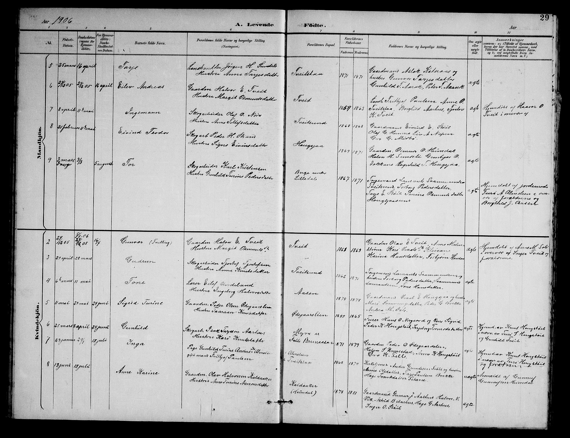 Nissedal kirkebøker, AV/SAKO-A-288/G/Gb/L0003: Parish register (copy) no. II 3, 1893-1928, p. 29