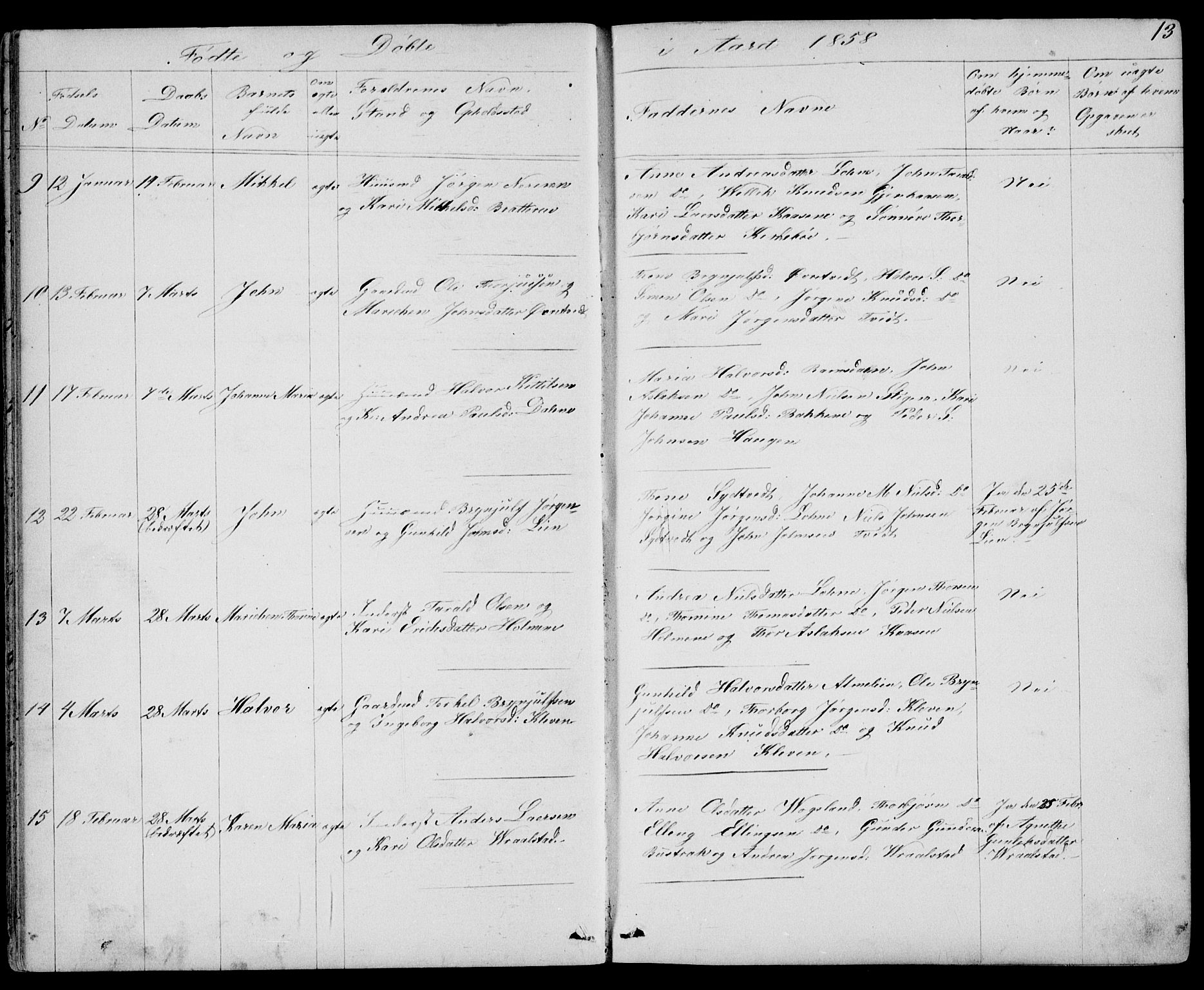 Drangedal kirkebøker, SAKO/A-258/G/Gb/L0001: Parish register (copy) no. II 1, 1856-1894, p. 13