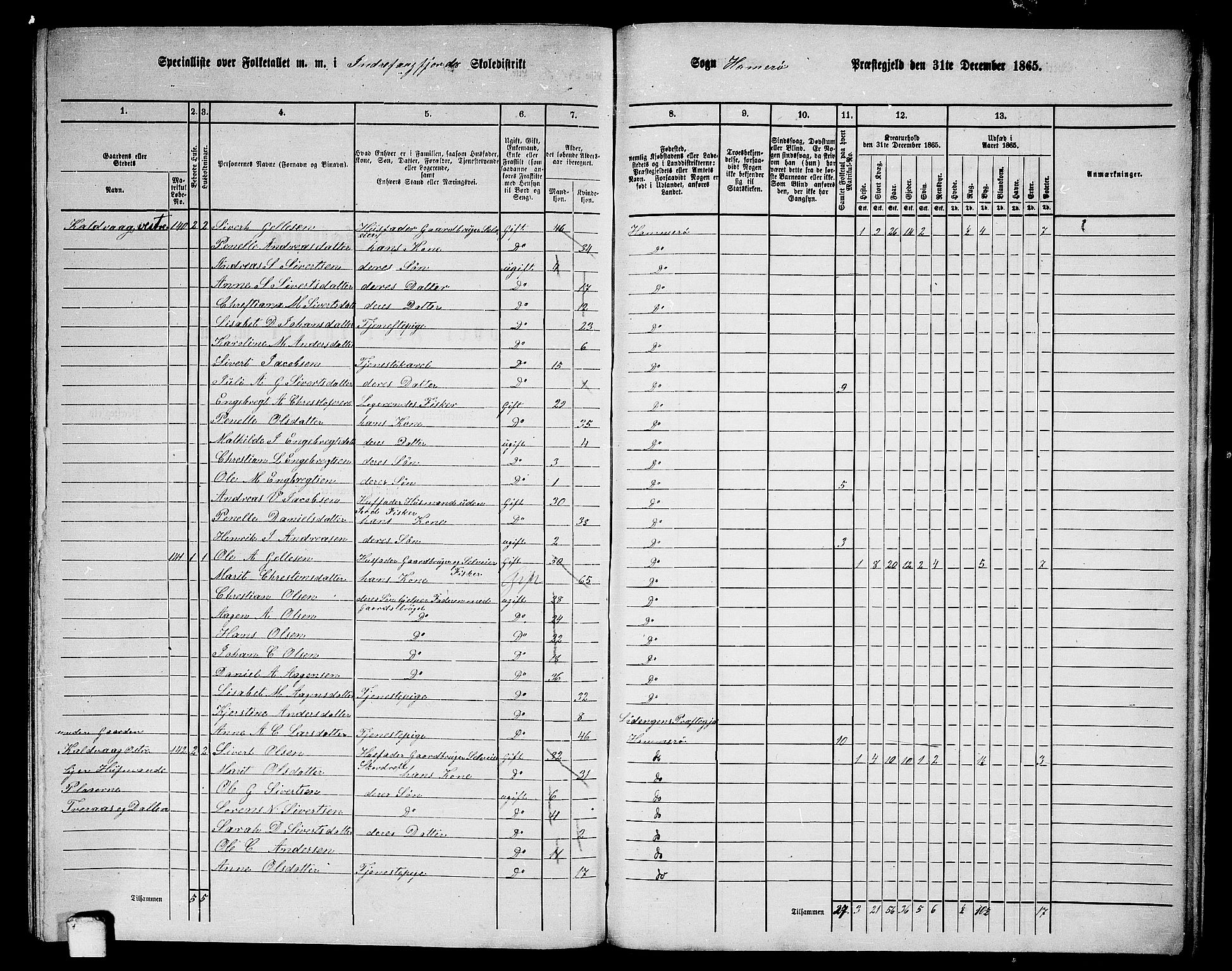 RA, 1865 census for Hamarøy, 1865, p. 81