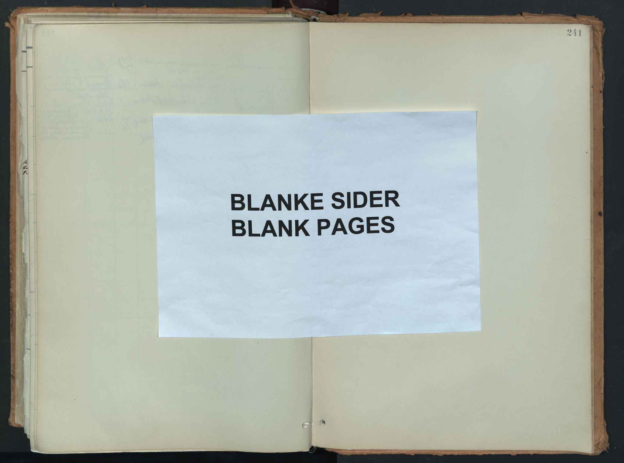 Eidsberg prestekontor Kirkebøker, AV/SAO-A-10905/F/Fb/L0002: Parish register (official) no. II 2, 1901-1933, p. 241