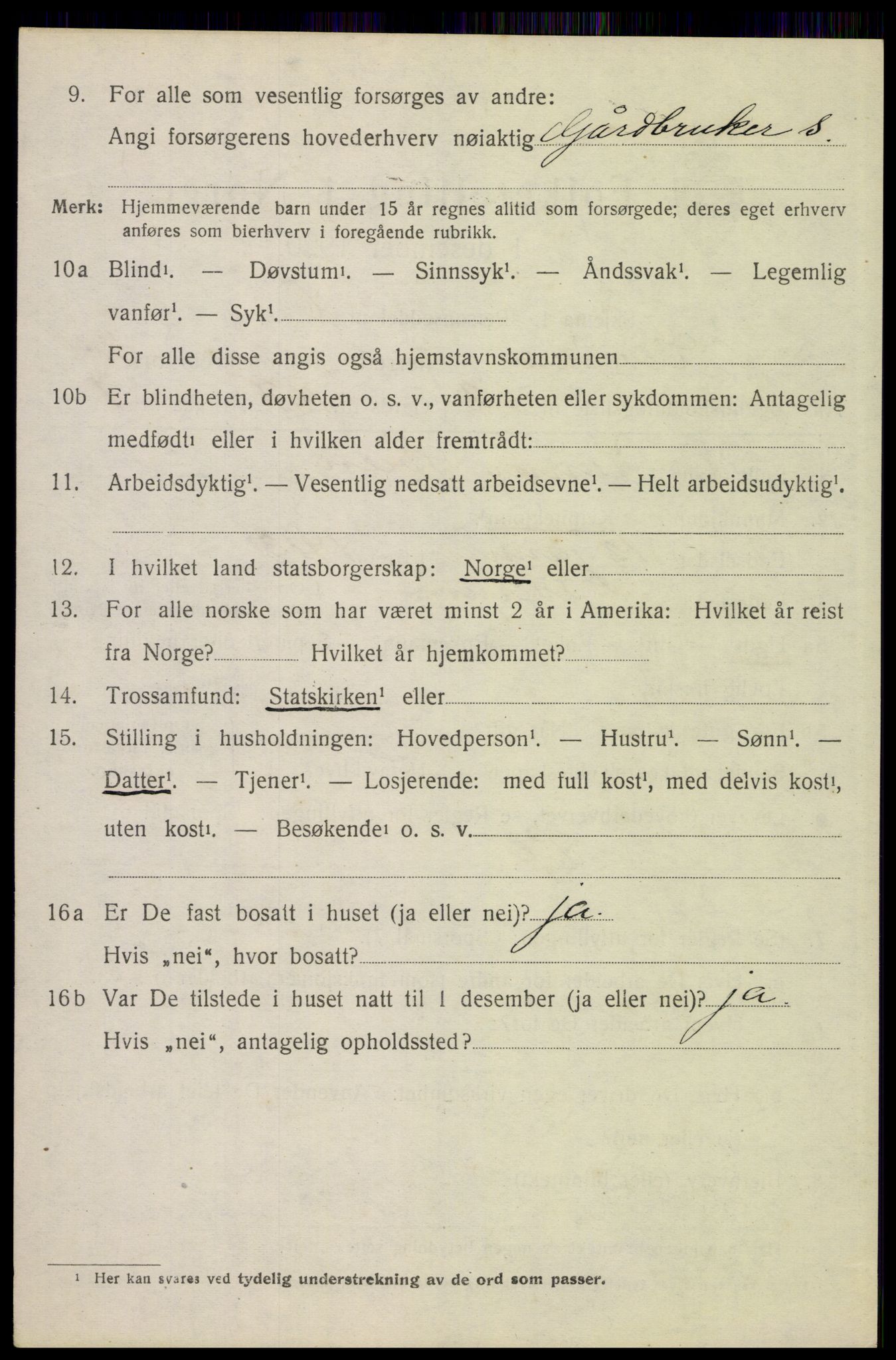 SAH, 1920 census for Elverum, 1920, p. 26219