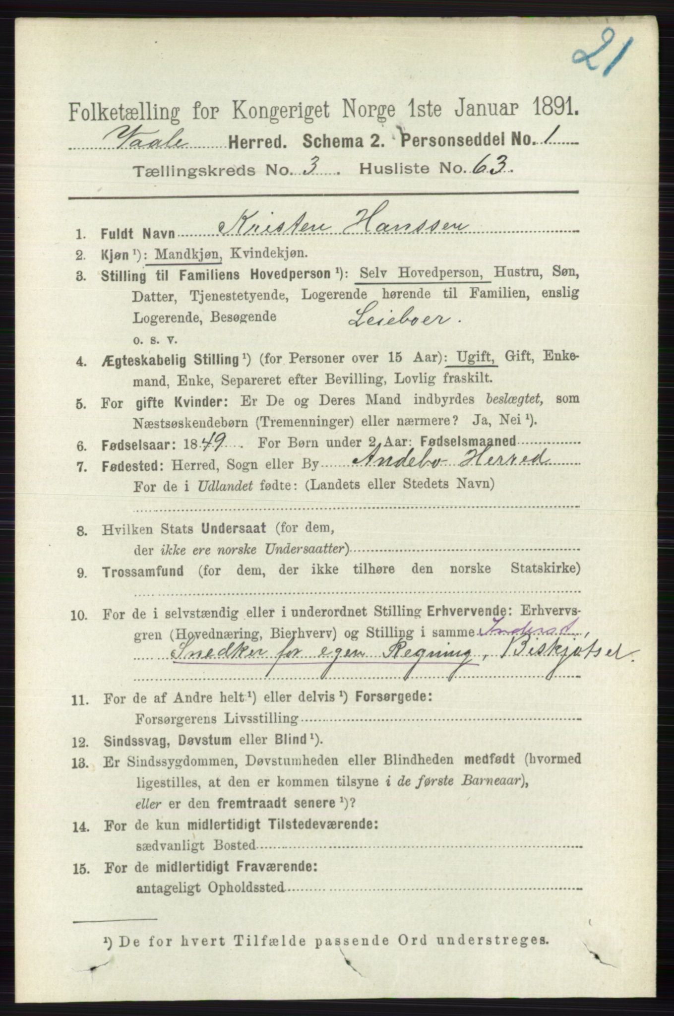RA, 1891 census for 0716 Våle, 1891, p. 909