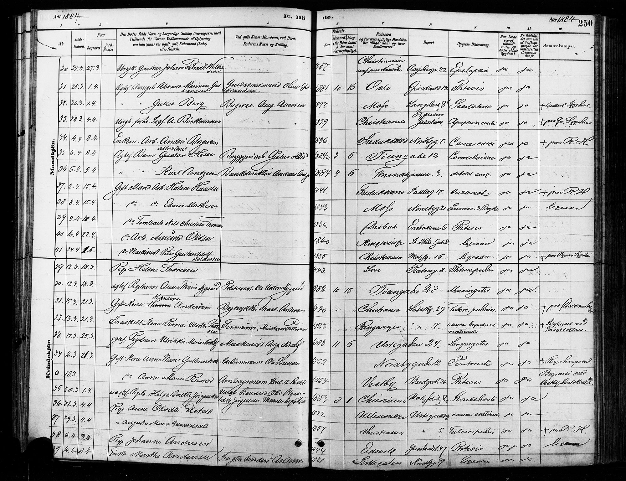 Grønland prestekontor Kirkebøker, AV/SAO-A-10848/F/Fa/L0008: Parish register (official) no. 8, 1881-1893, p. 250