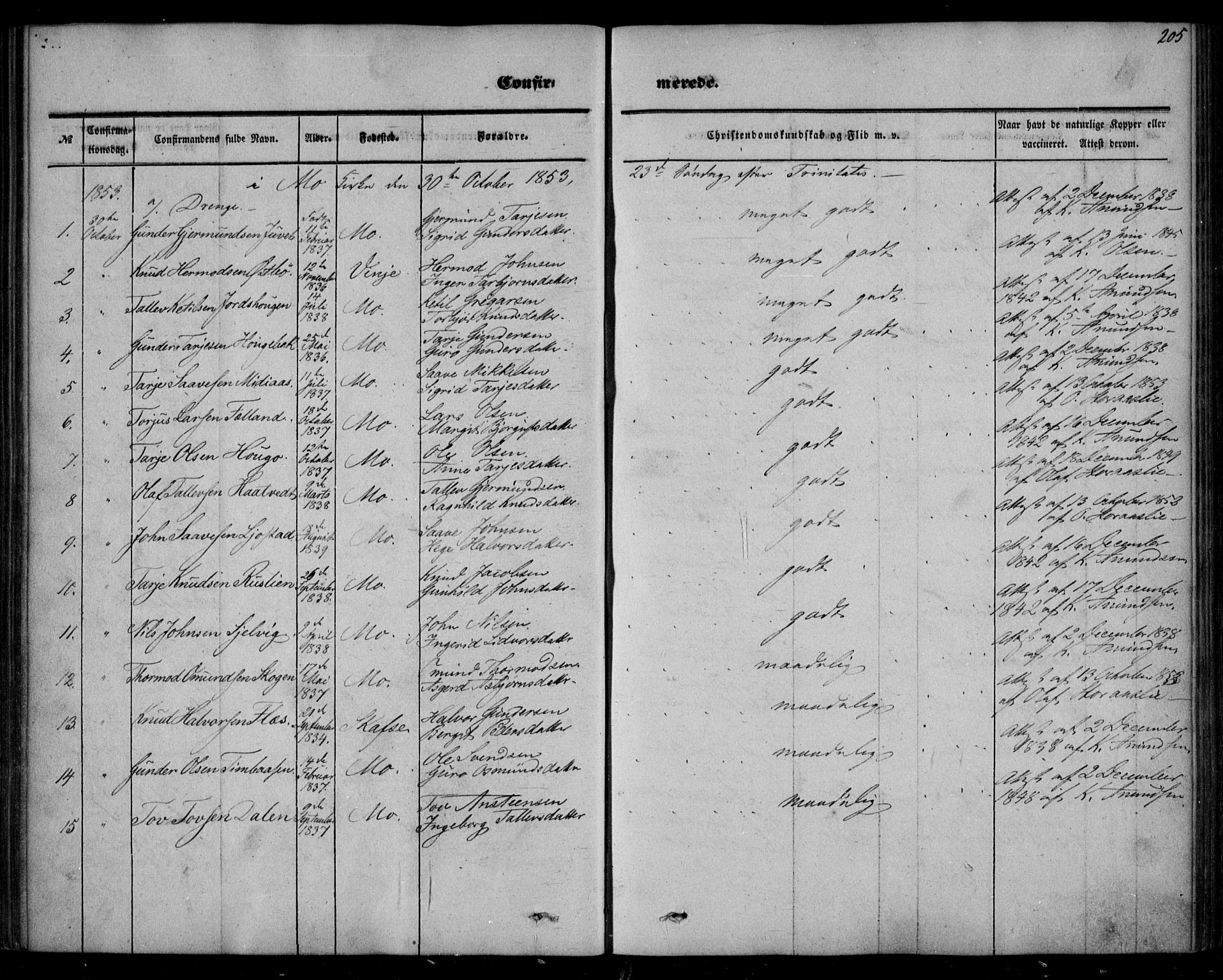 Mo kirkebøker, AV/SAKO-A-286/F/Fa/L0005: Parish register (official) no. I 5, 1844-1864, p. 205