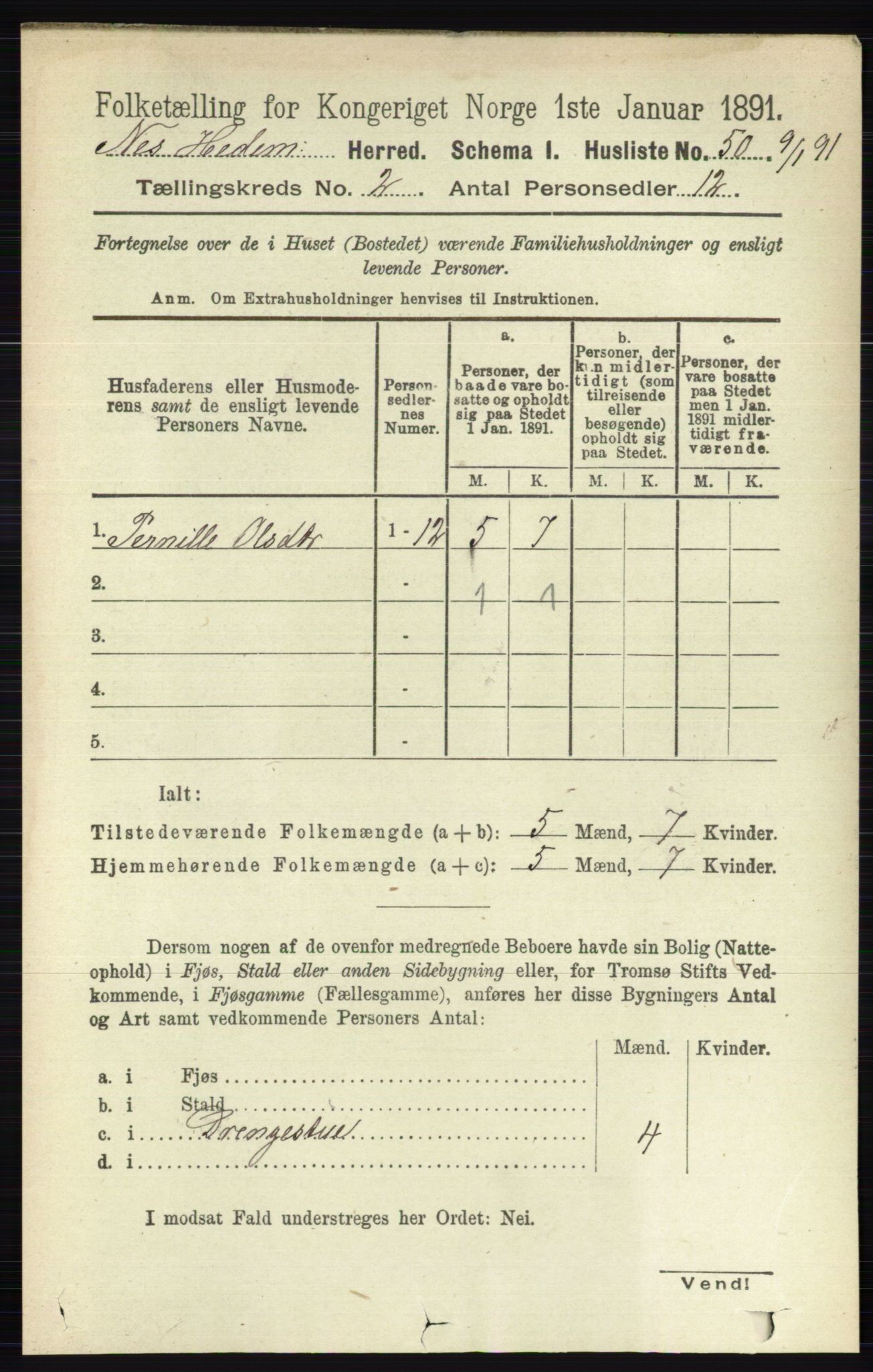 RA, 1891 census for 0411 Nes, 1891, p. 1054
