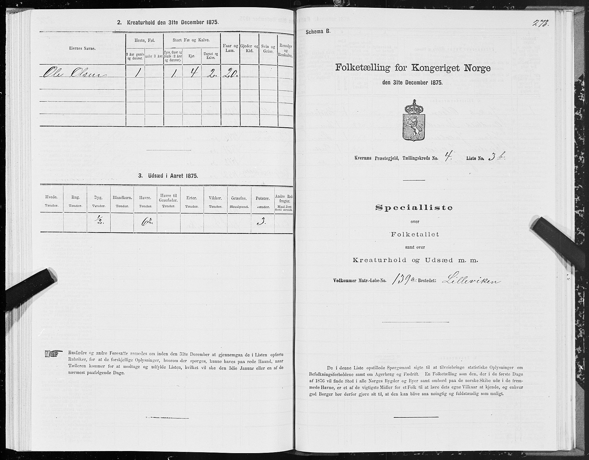 SAT, 1875 census for 1553P Kvernes, 1875, p. 2273