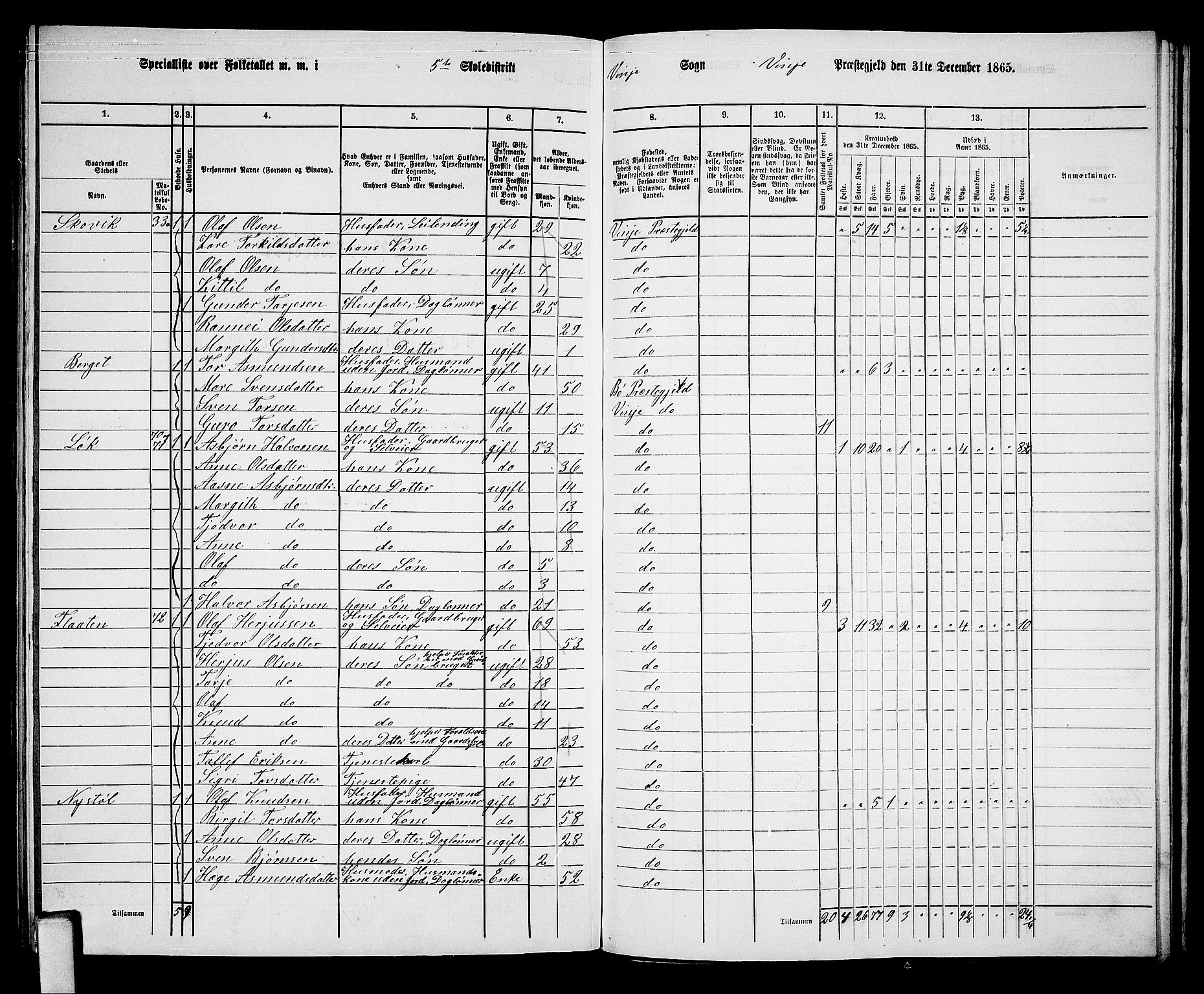 RA, 1865 census for Vinje, 1865, p. 45