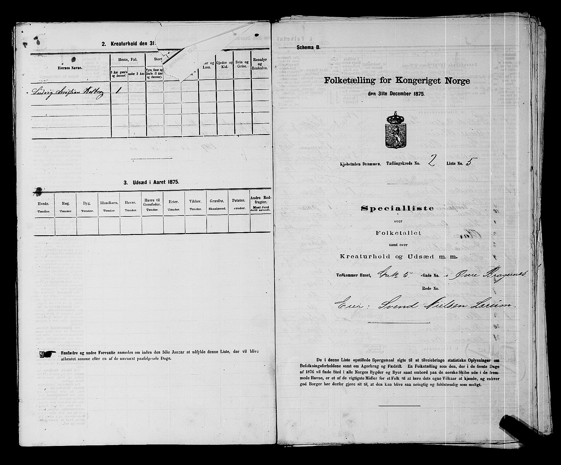 SAKO, 1875 census for 0602 Drammen, 1875, p. 187