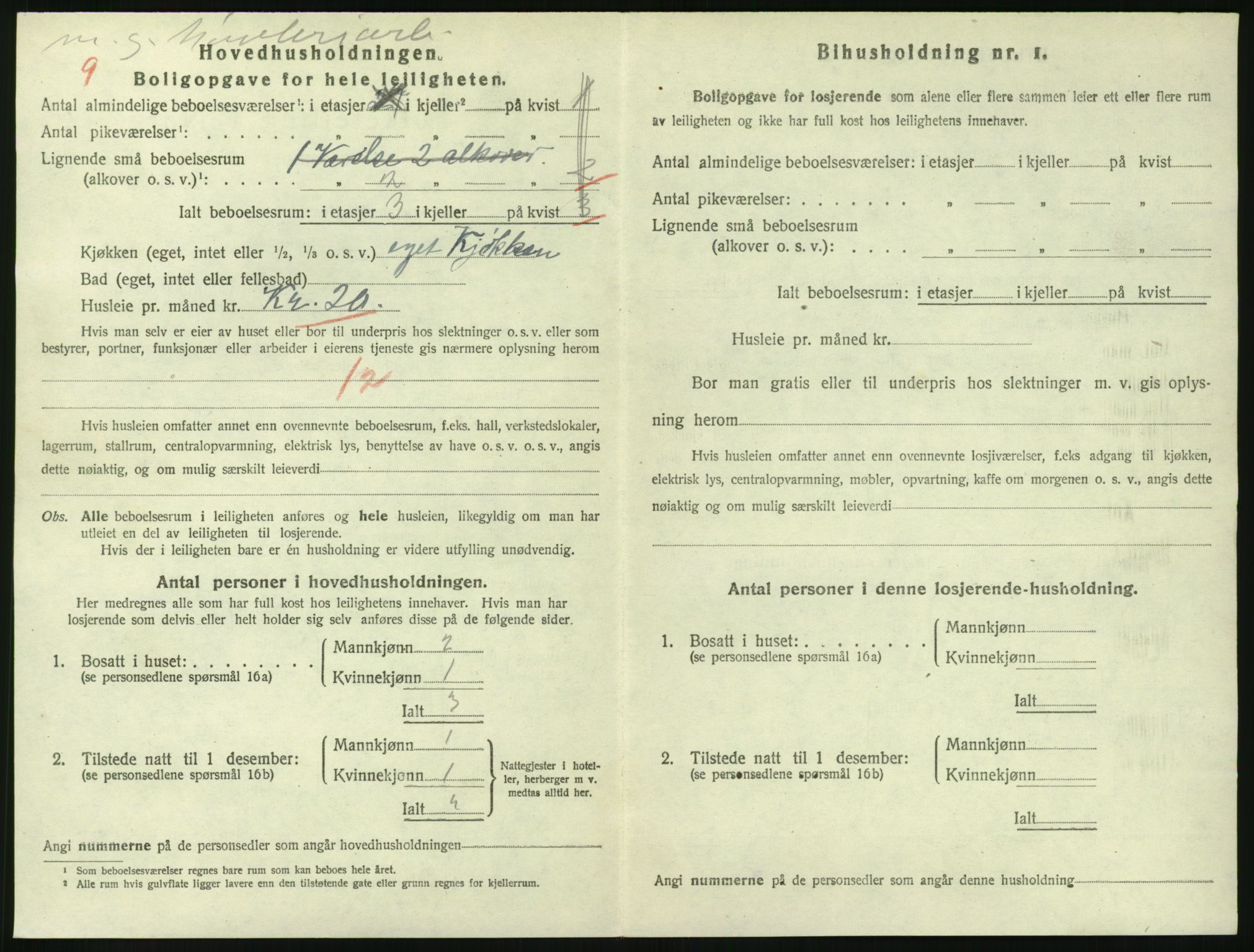 SAKO, 1920 census for Larvik, 1920, p. 3391