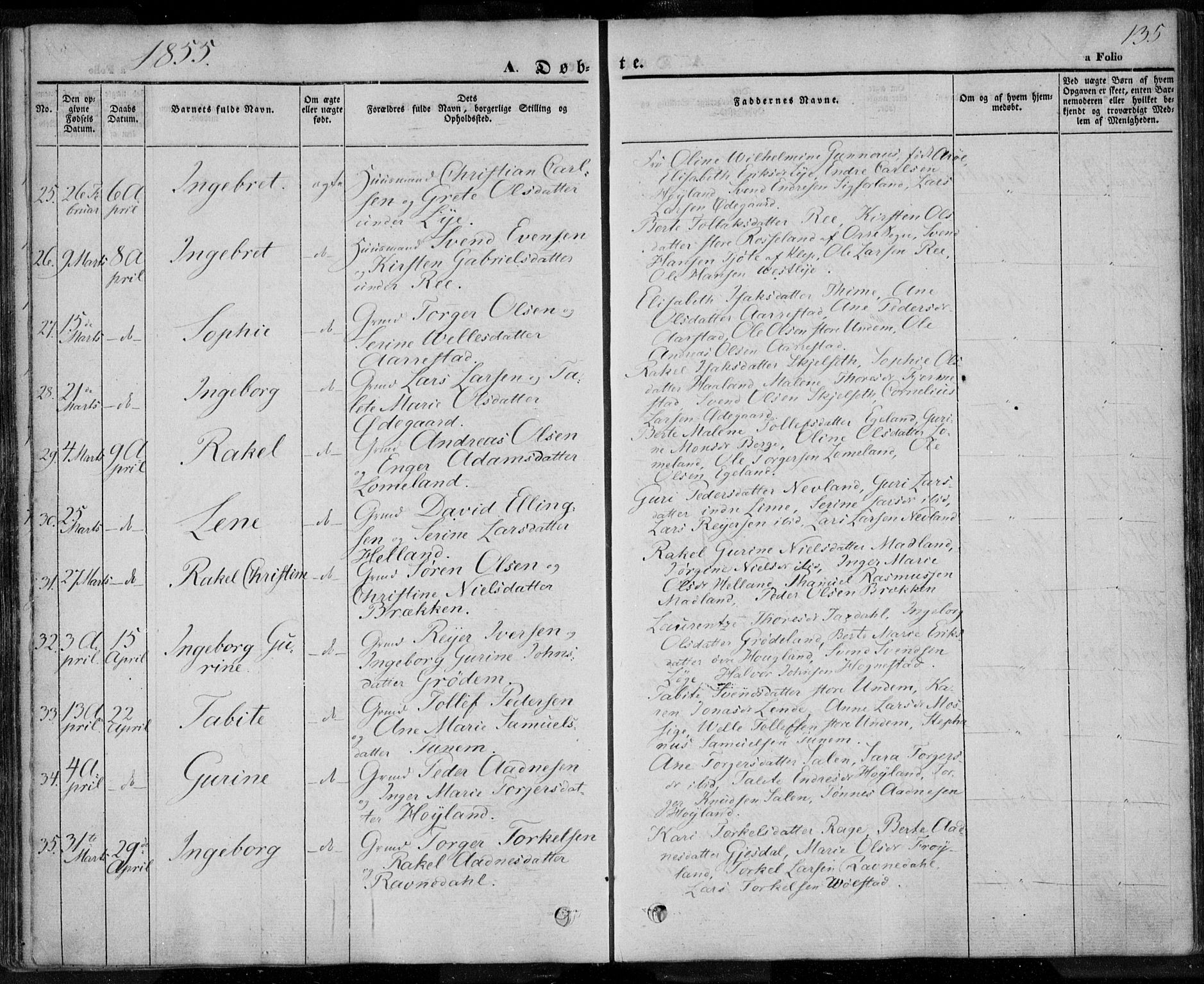 Lye sokneprestkontor, AV/SAST-A-101794/001/30BA/L0005: Parish register (official) no. A 5.1, 1842-1855, p. 135