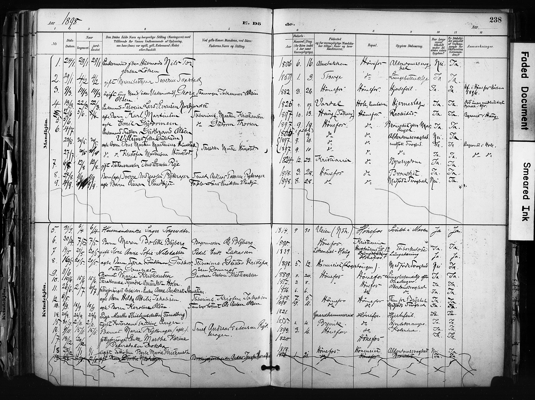 Hønefoss kirkebøker, AV/SAKO-A-609/F/Fa/L0002: Parish register (official) no. 2, 1887-1906, p. 238