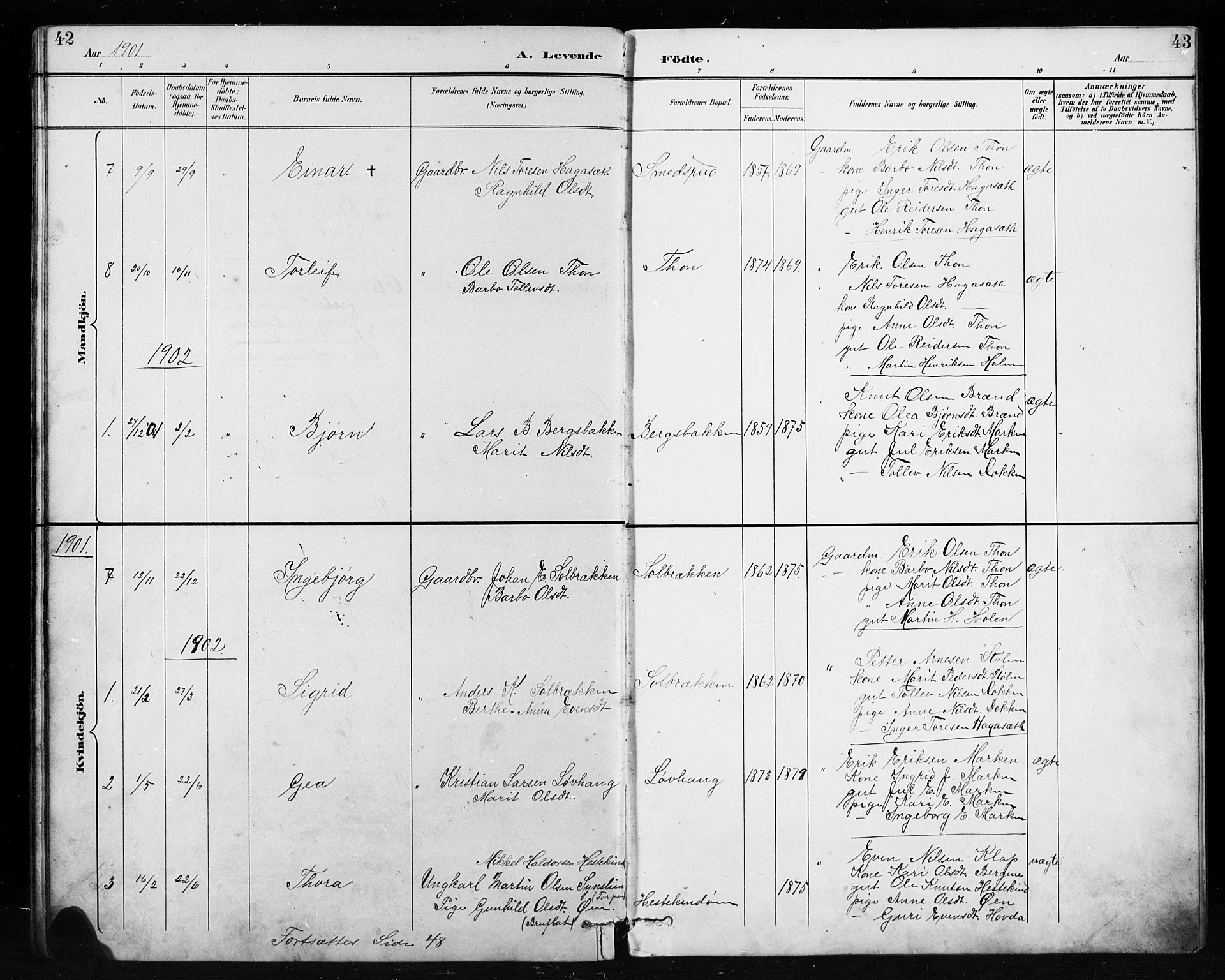 Etnedal prestekontor, SAH/PREST-130/H/Ha/Hab/Habb/L0001: Parish register (copy) no. II 1, 1894-1911, p. 42-43