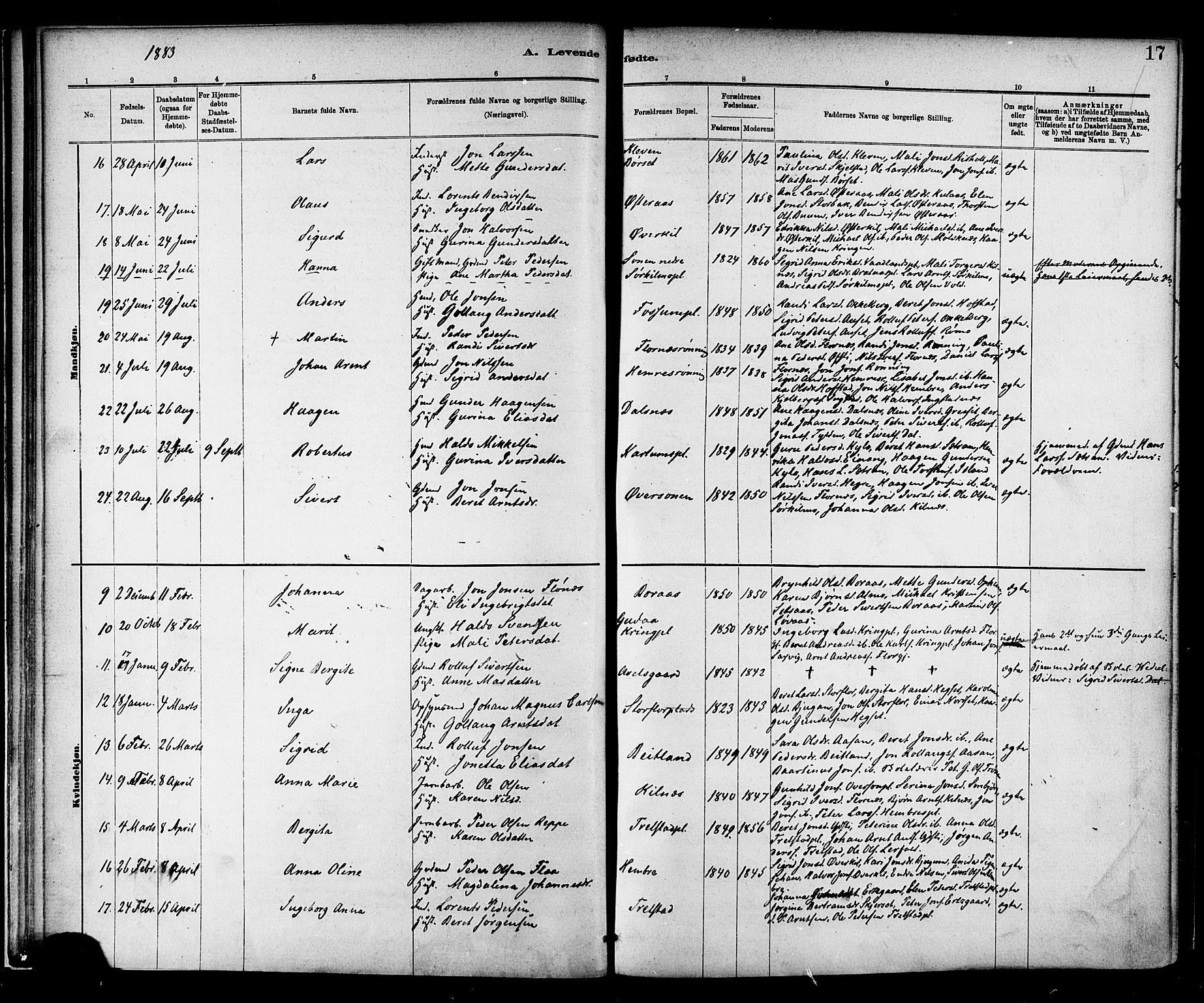 Ministerialprotokoller, klokkerbøker og fødselsregistre - Nord-Trøndelag, SAT/A-1458/703/L0030: Parish register (official) no. 703A03, 1880-1892, p. 17