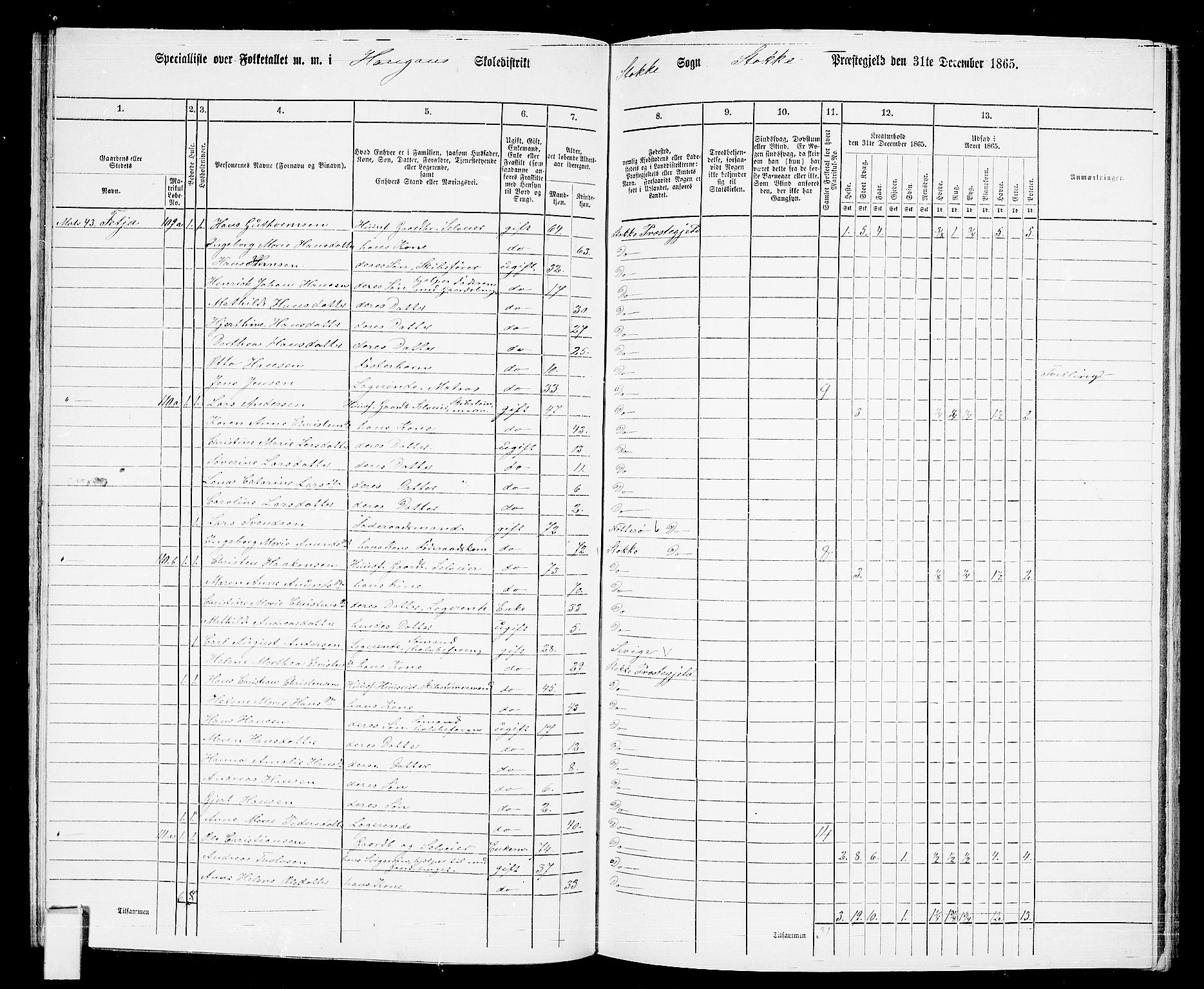 RA, 1865 census for Stokke, 1865, p. 87