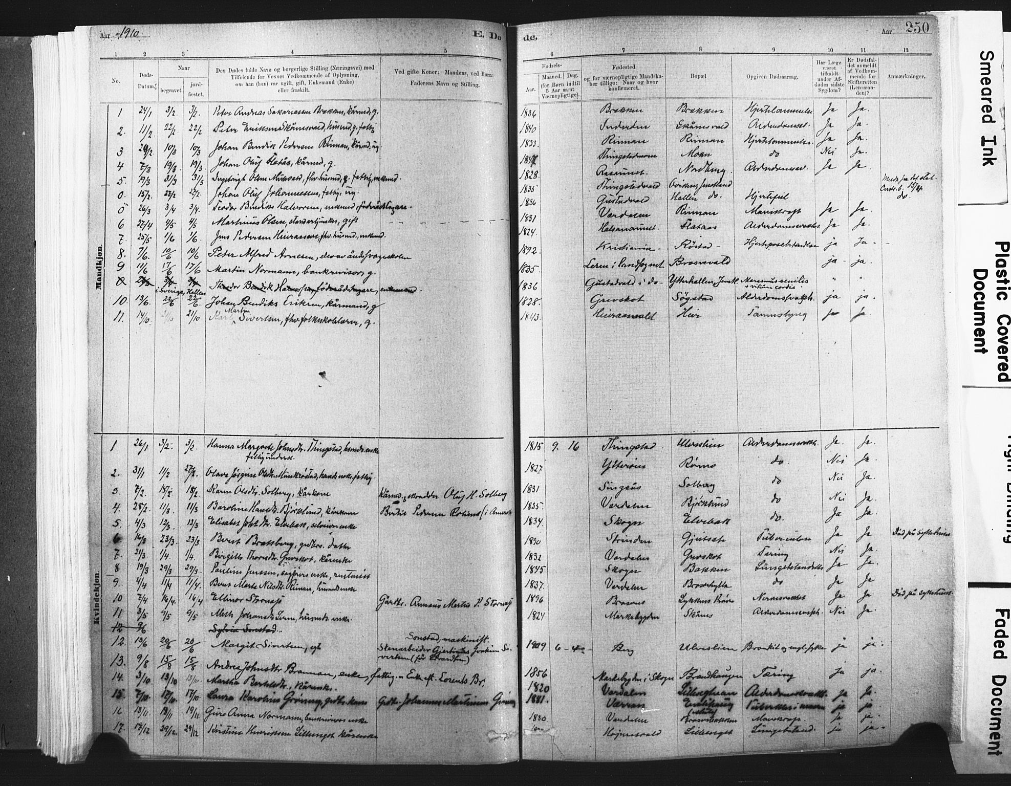 Ministerialprotokoller, klokkerbøker og fødselsregistre - Nord-Trøndelag, SAT/A-1458/721/L0207: Parish register (official) no. 721A02, 1880-1911, p. 250