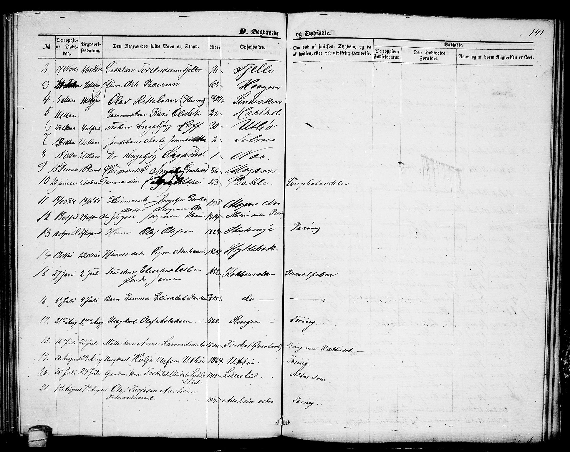 Seljord kirkebøker, AV/SAKO-A-20/G/Ga/L0004: Parish register (copy) no. I 4, 1873-1886, p. 141