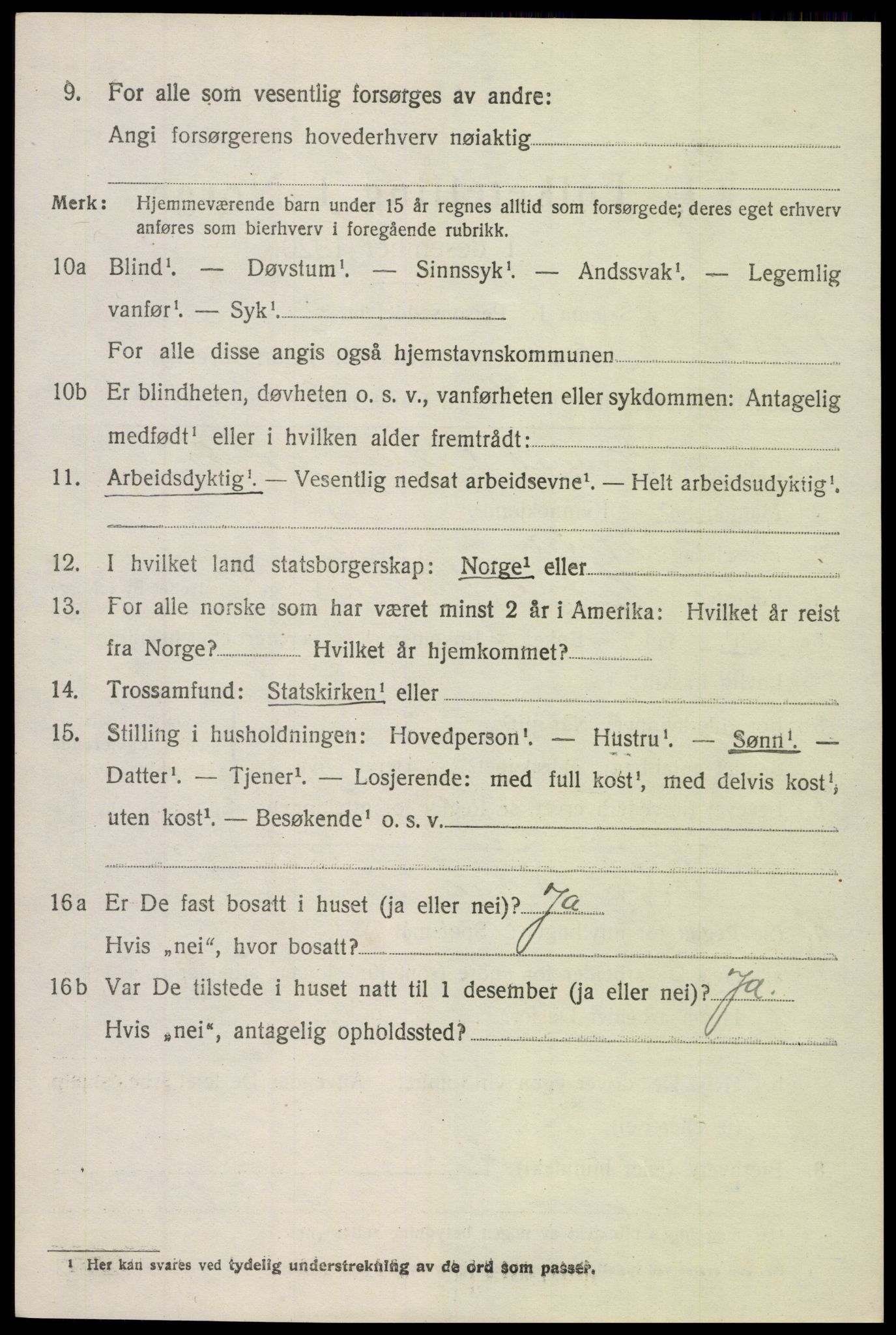 SAH, 1920 census for Vestre Slidre, 1920, p. 5385