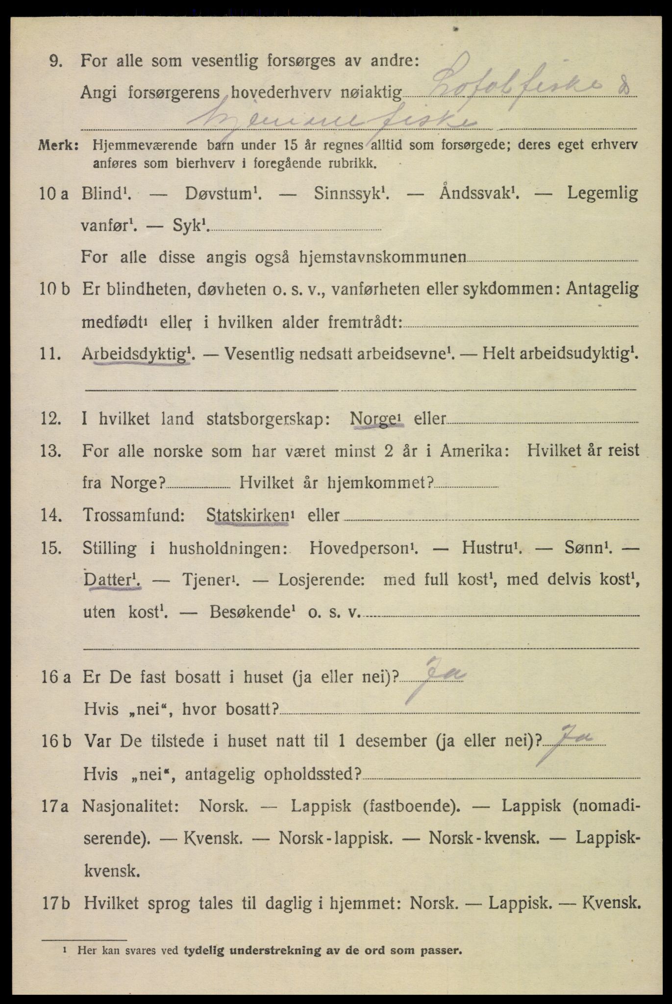 SAT, 1920 census for Bø, 1920, p. 6041