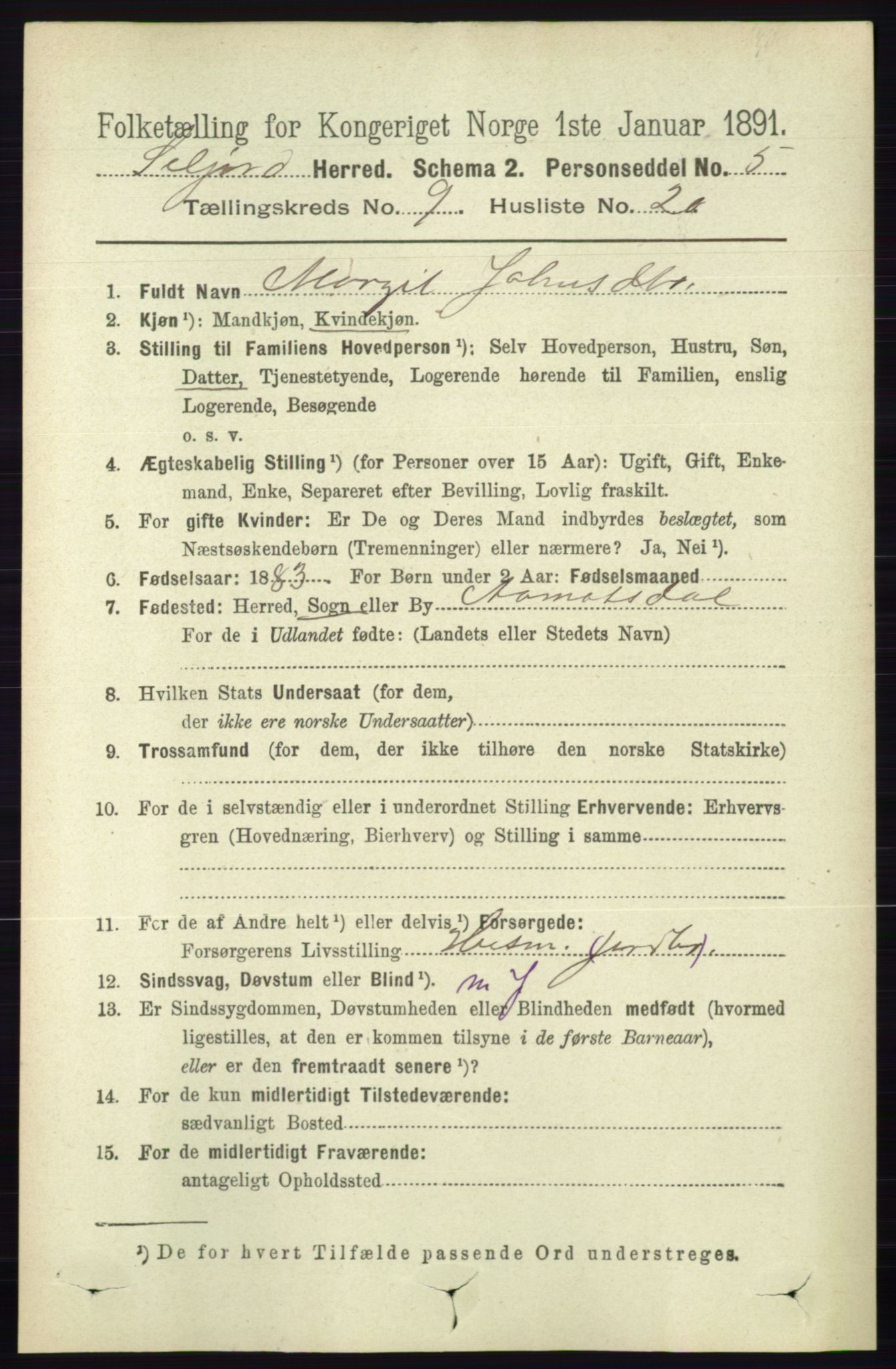 RA, 1891 census for 0828 Seljord, 1891, p. 3276