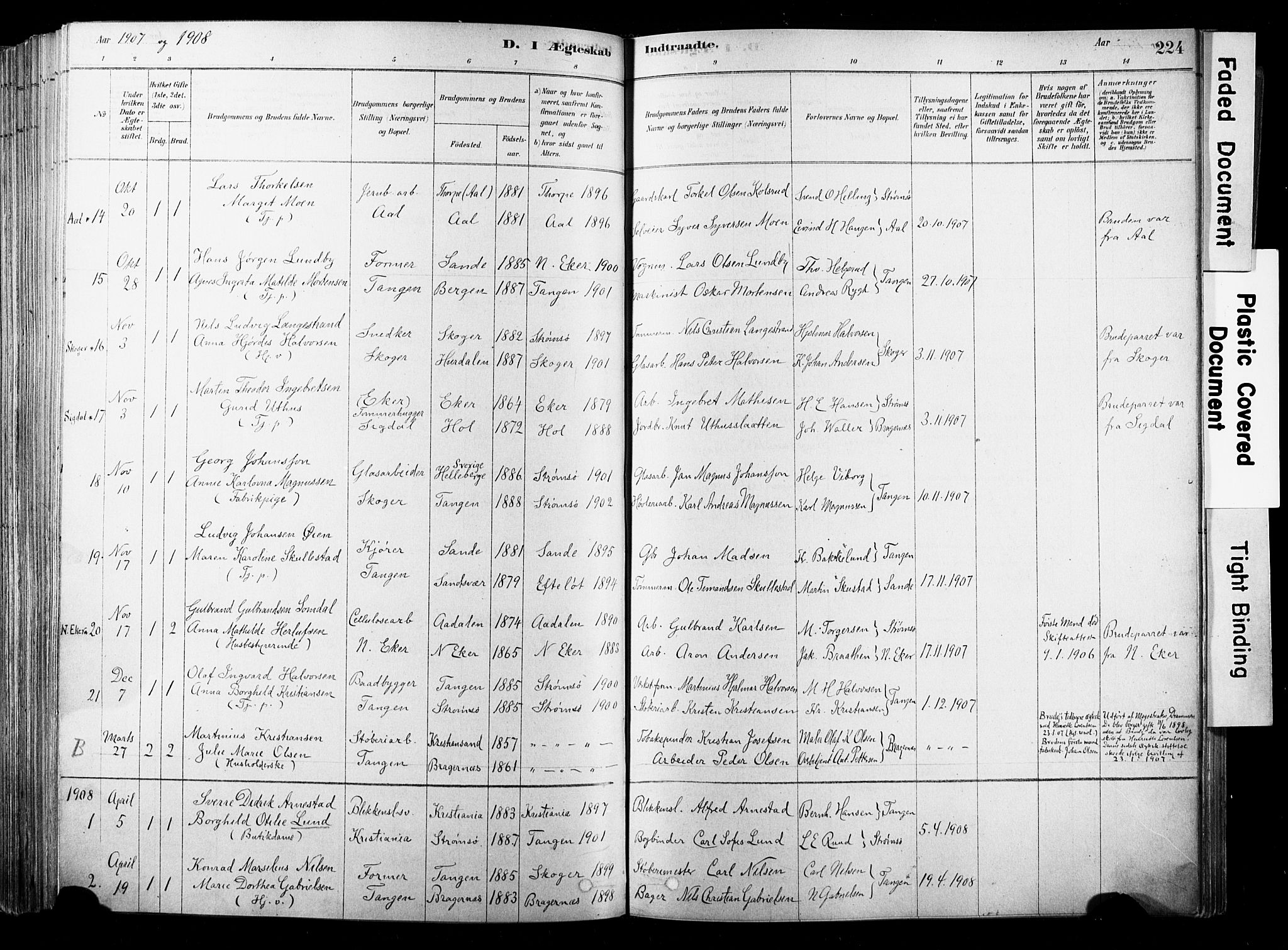Strømsø kirkebøker, SAKO/A-246/F/Fb/L0006: Parish register (official) no. II 6, 1879-1910, p. 224