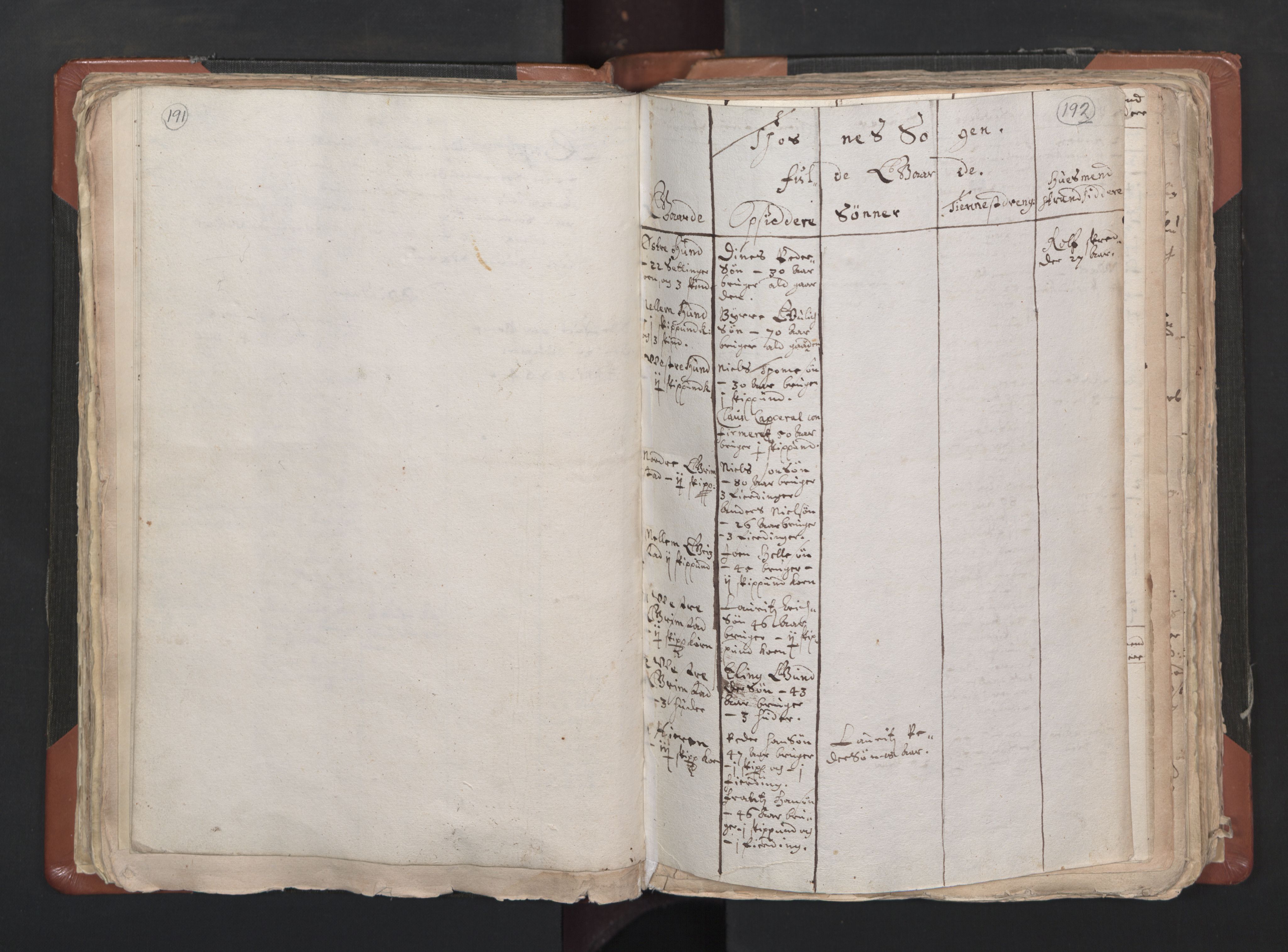 RA, Vicar's Census 1664-1666, no. 1: Nedre Borgesyssel deanery, 1664-1666, p. 191-192