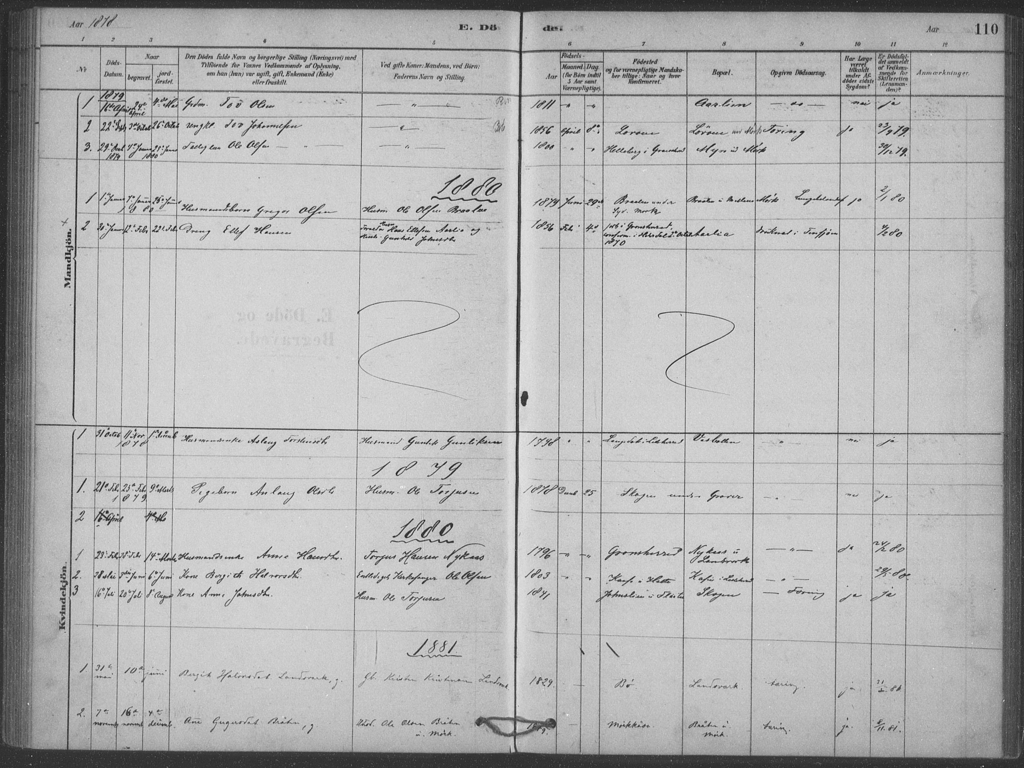 Heddal kirkebøker, SAKO/A-268/F/Fb/L0002: Parish register (official) no. II 2, 1878-1913, p. 110