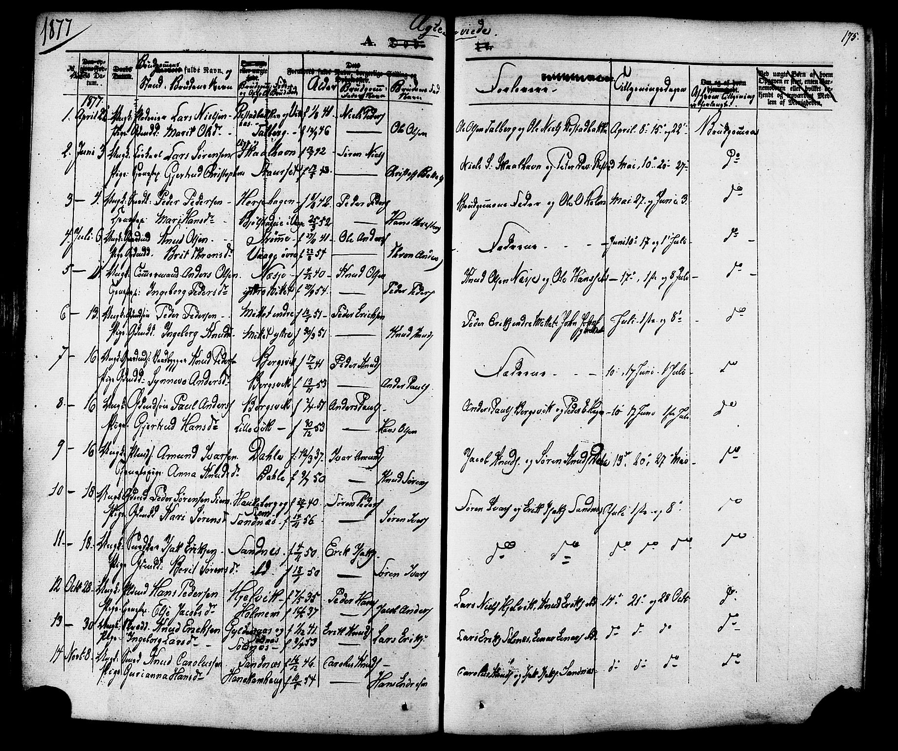 Ministerialprotokoller, klokkerbøker og fødselsregistre - Møre og Romsdal, AV/SAT-A-1454/547/L0603: Parish register (official) no. 547A05, 1846-1877, p. 175