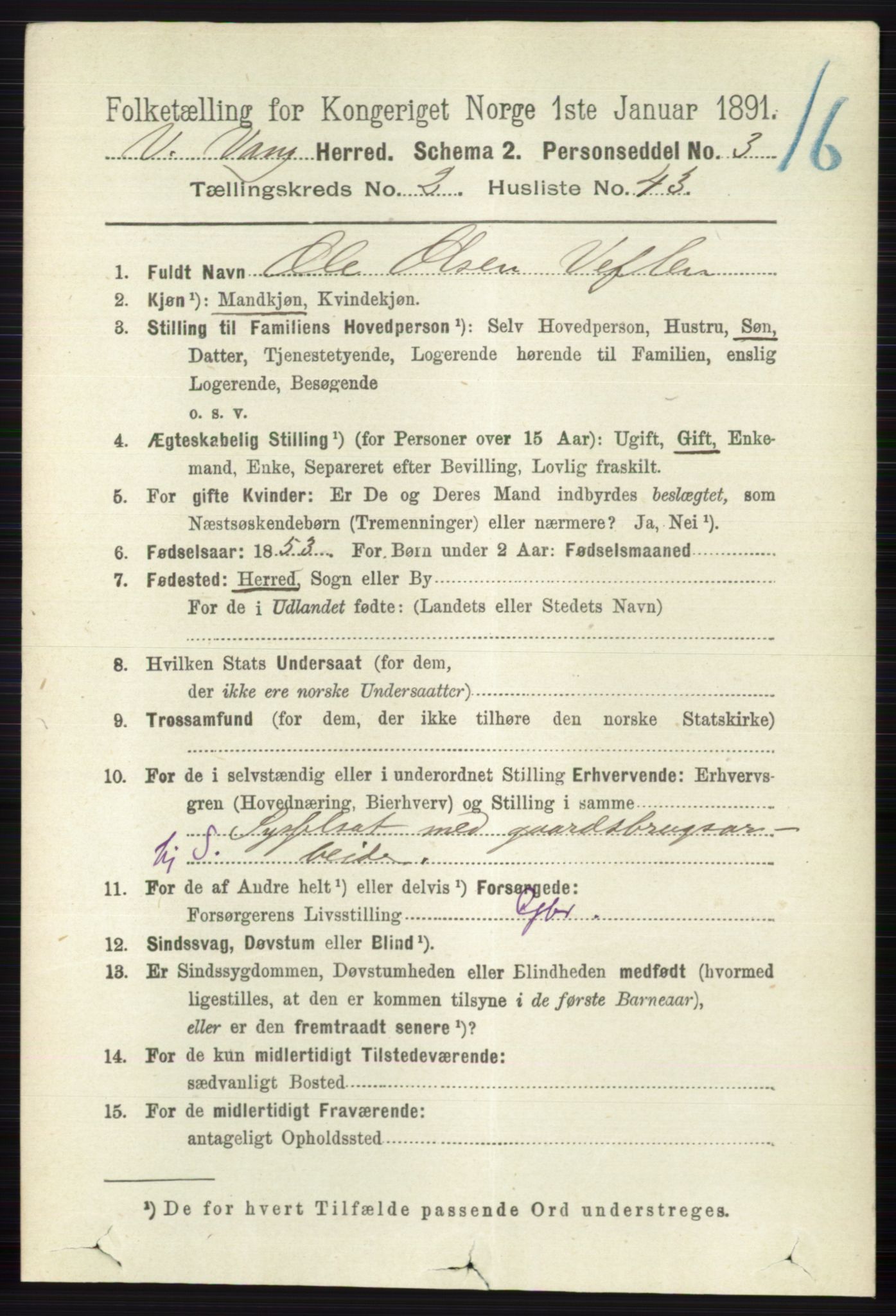 RA, 1891 census for 0545 Vang, 1891, p. 673