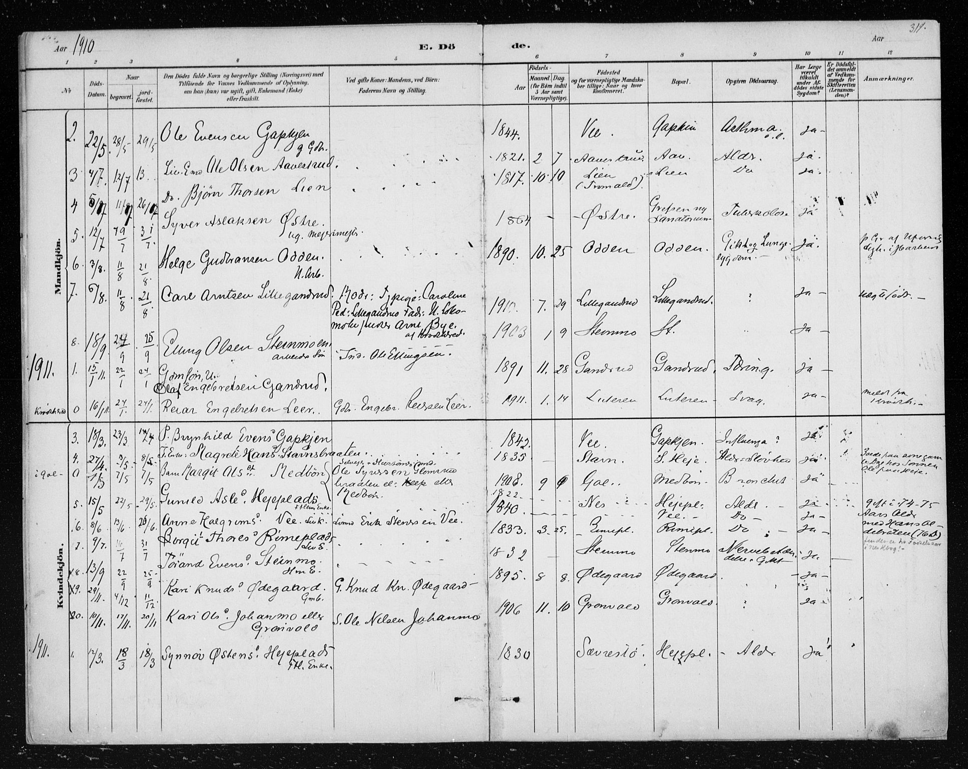 Nes kirkebøker, AV/SAKO-A-236/F/Fa/L0012: Parish register (official) no. 12, 1881-1917, p. 319