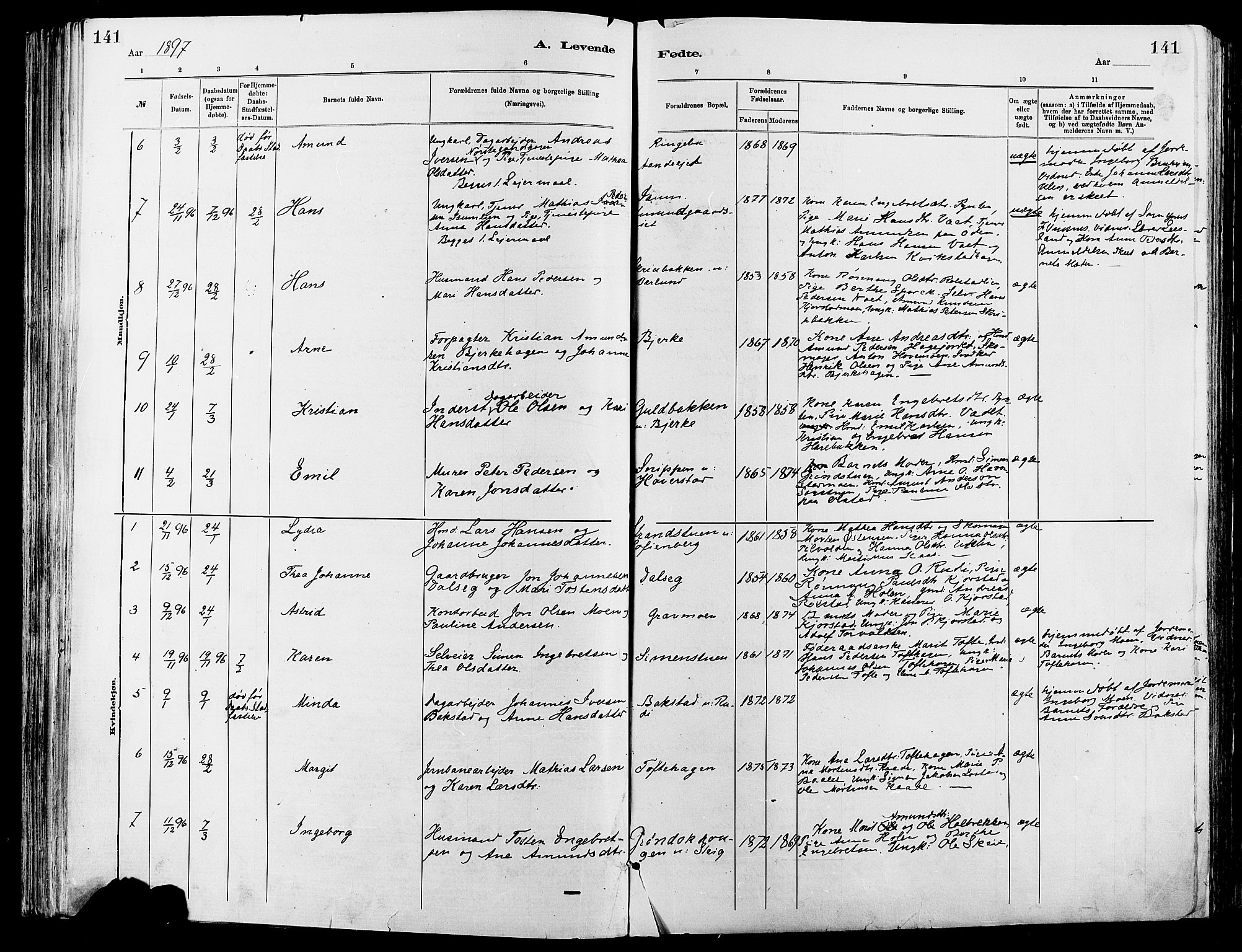 Sør-Fron prestekontor, SAH/PREST-010/H/Ha/Haa/L0003: Parish register (official) no. 3, 1881-1897, p. 141