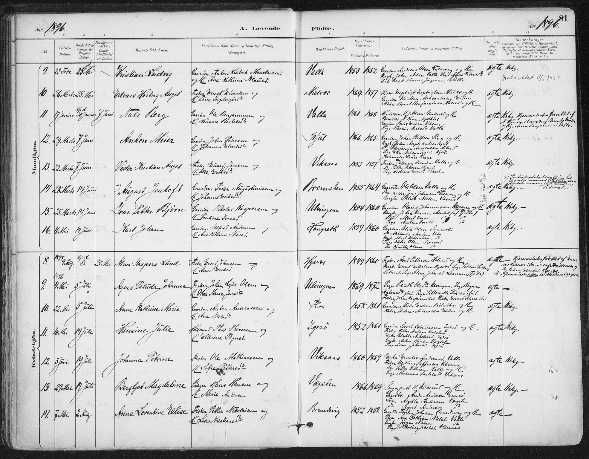 Ministerialprotokoller, klokkerbøker og fødselsregistre - Nordland, AV/SAT-A-1459/816/L0244: Parish register (official) no. 816A10, 1886-1903, p. 81