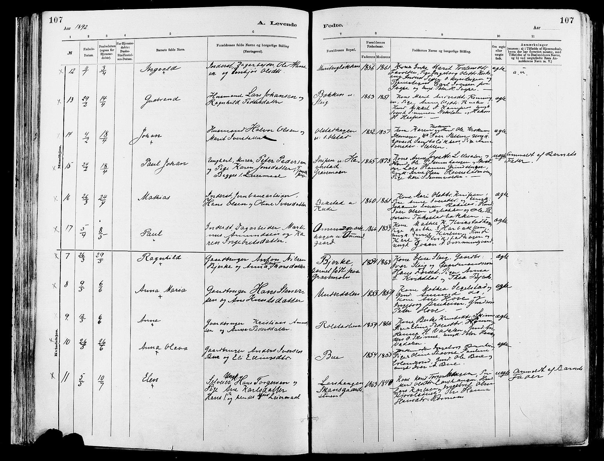 Sør-Fron prestekontor, AV/SAH-PREST-010/H/Ha/Haa/L0003: Parish register (official) no. 3, 1881-1897, p. 107