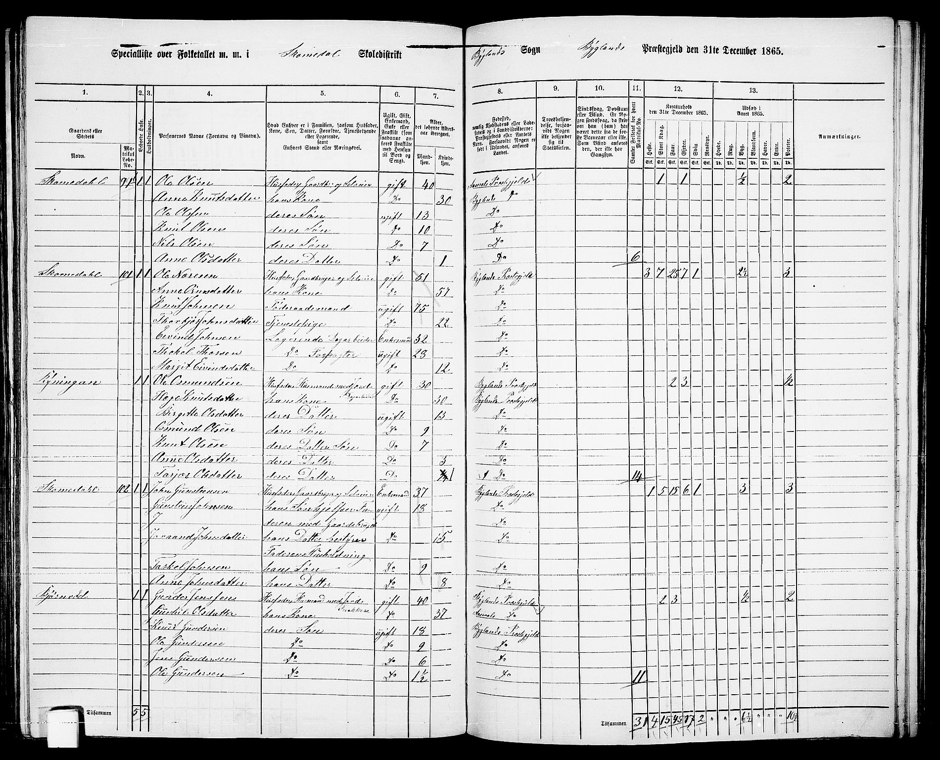 RA, 1865 census for Bygland, 1865, p. 53