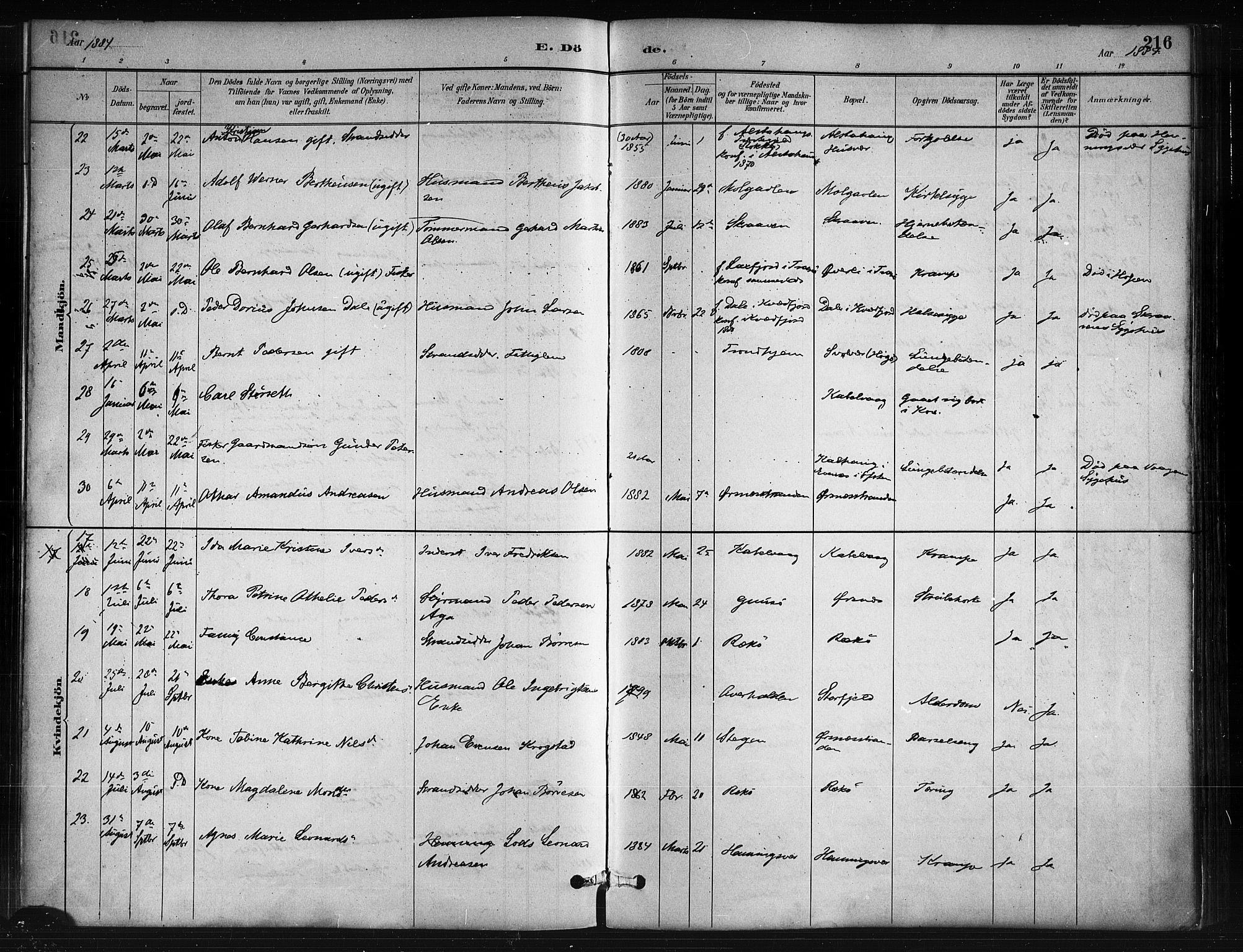 Ministerialprotokoller, klokkerbøker og fødselsregistre - Nordland, AV/SAT-A-1459/874/L1059: Parish register (official) no. 874A03, 1884-1890, p. 216