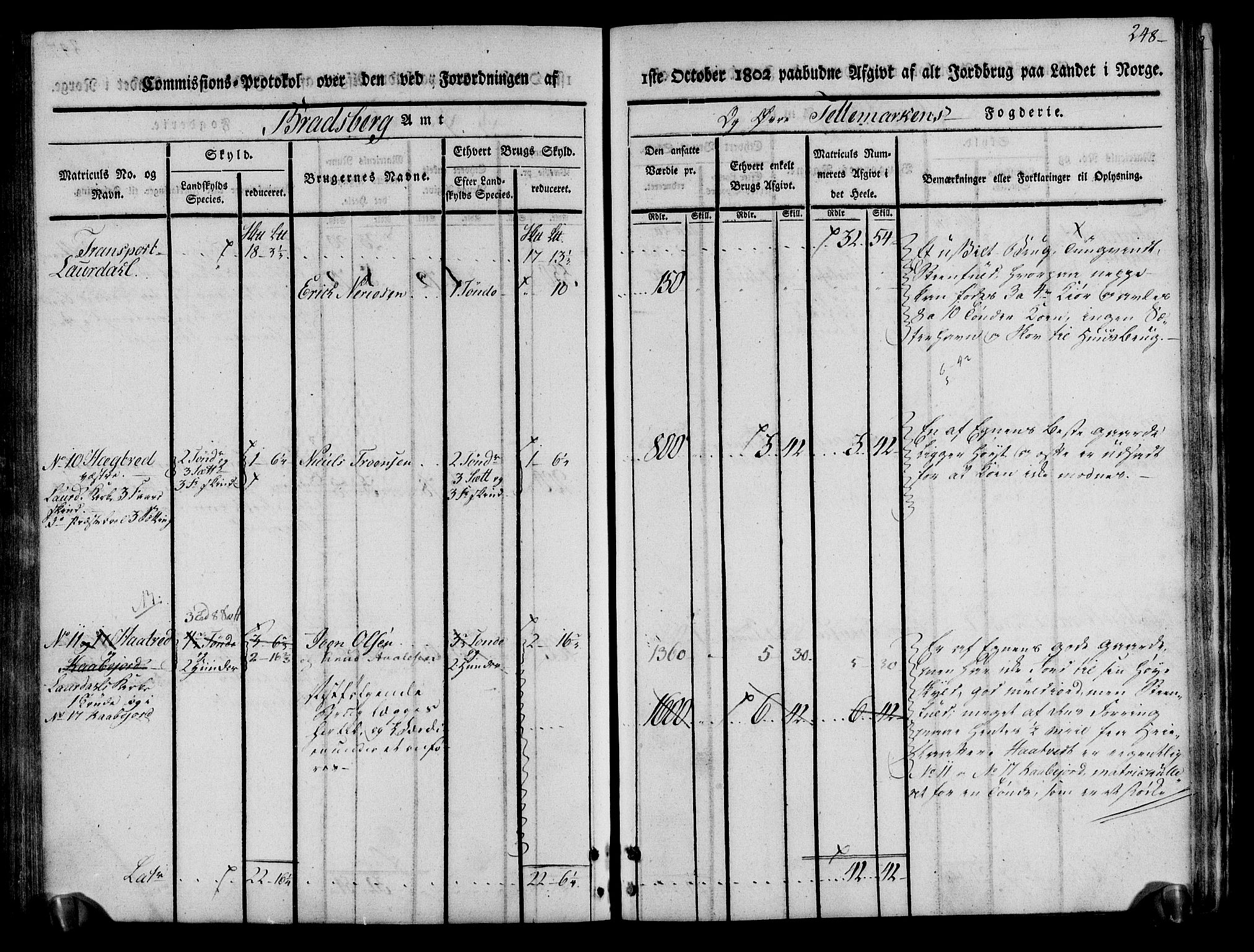 Rentekammeret inntil 1814, Realistisk ordnet avdeling, AV/RA-EA-4070/N/Ne/Nea/L0075: Øvre Telemarken fogderi. Kommisjonsprotokoll for fogderiets vestre del - Kviteseid, Vinje, Moland [):Fyresdal] og Lårdal prestegjeld., 1803, p. 250