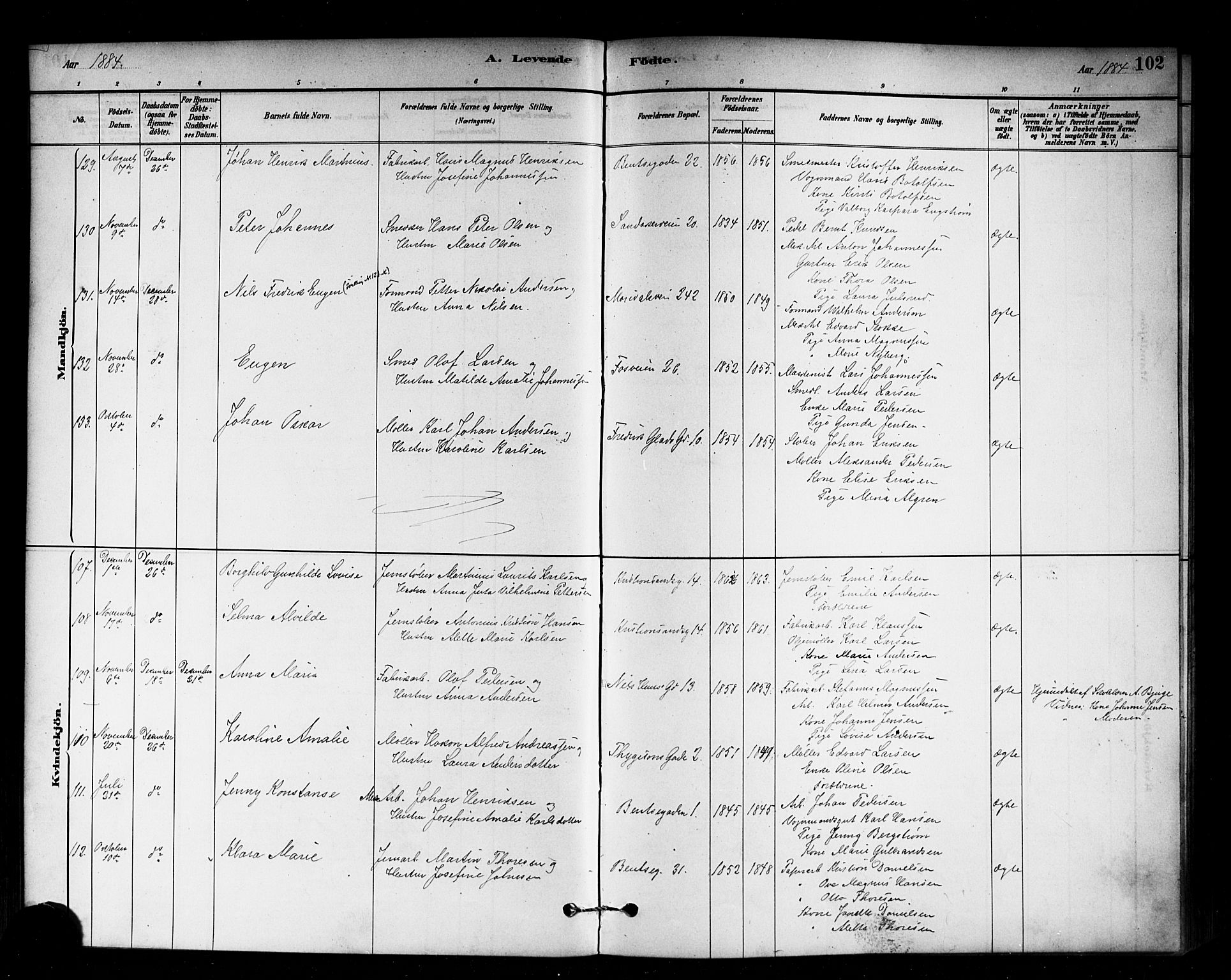 Sagene prestekontor Kirkebøker, SAO/A-10796/G/L0001: Parish register (copy) no. 1, 1880-1891, p. 102