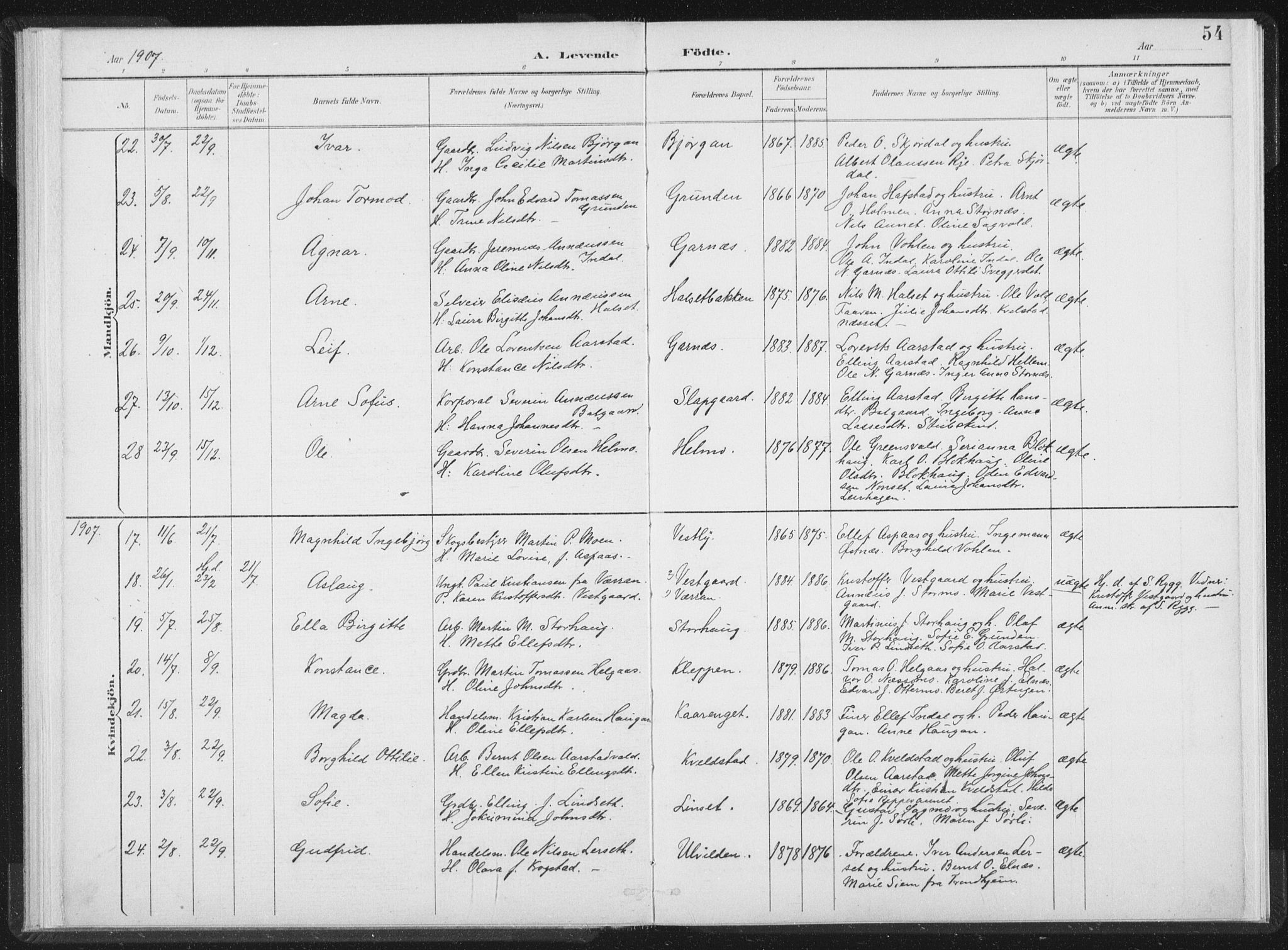 Ministerialprotokoller, klokkerbøker og fødselsregistre - Nord-Trøndelag, AV/SAT-A-1458/724/L0263: Parish register (official) no. 724A01, 1891-1907, p. 54