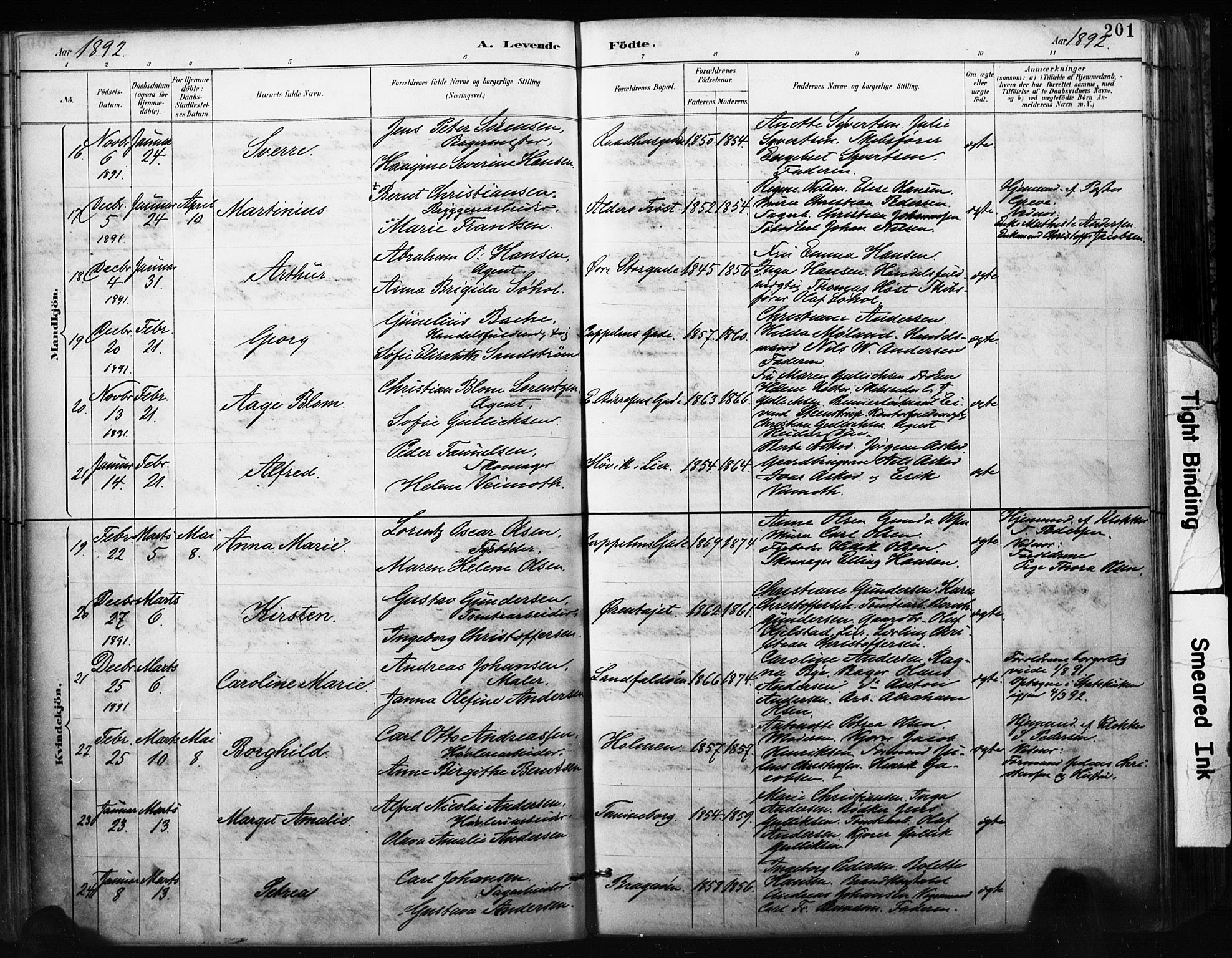 Bragernes kirkebøker, SAKO/A-6/F/Fb/L0007: Parish register (official) no. II 7, 1885-1893, p. 201