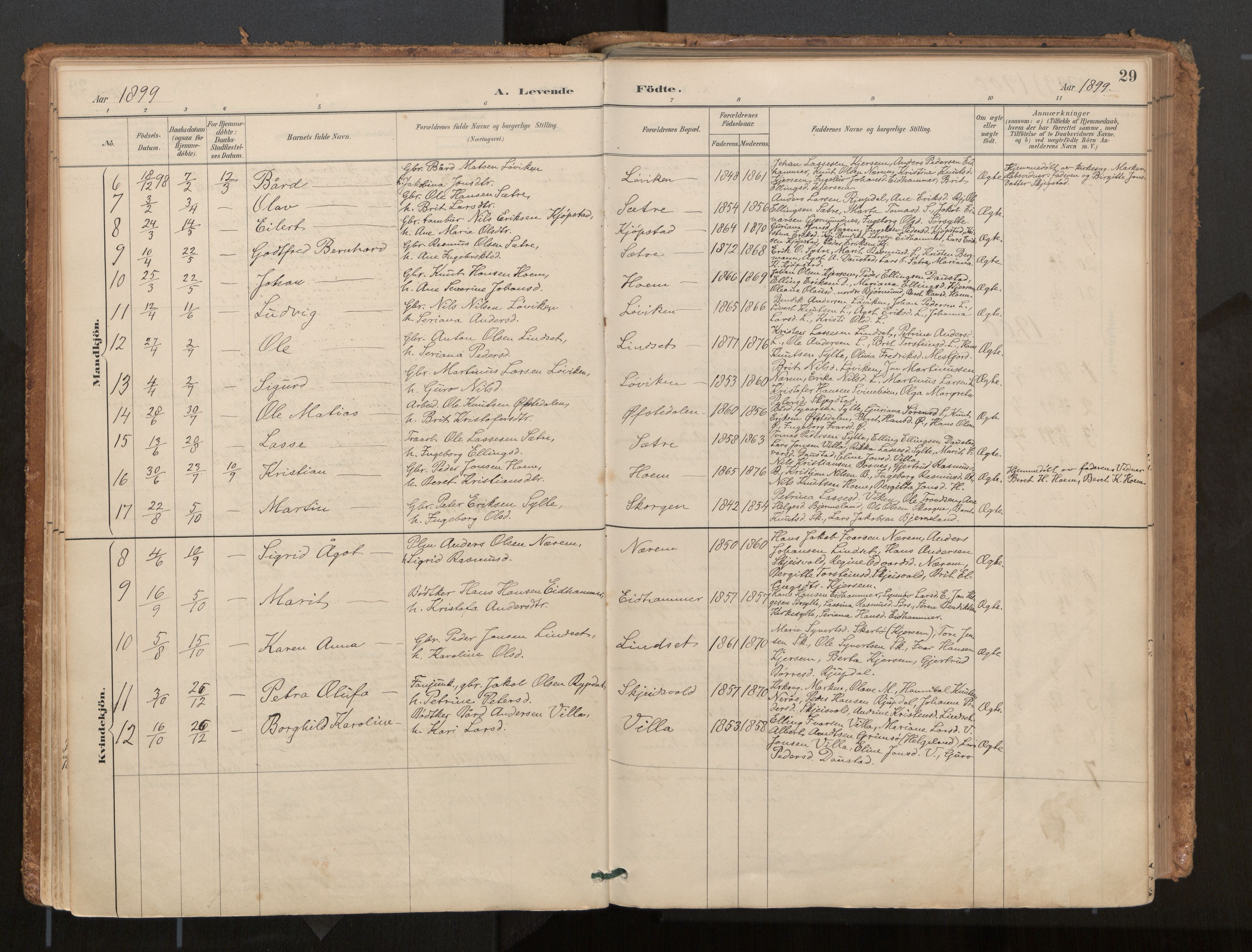 Ministerialprotokoller, klokkerbøker og fødselsregistre - Møre og Romsdal, AV/SAT-A-1454/541/L0545a: Parish register (official) no. 541A03, 1887-1912, p. 29