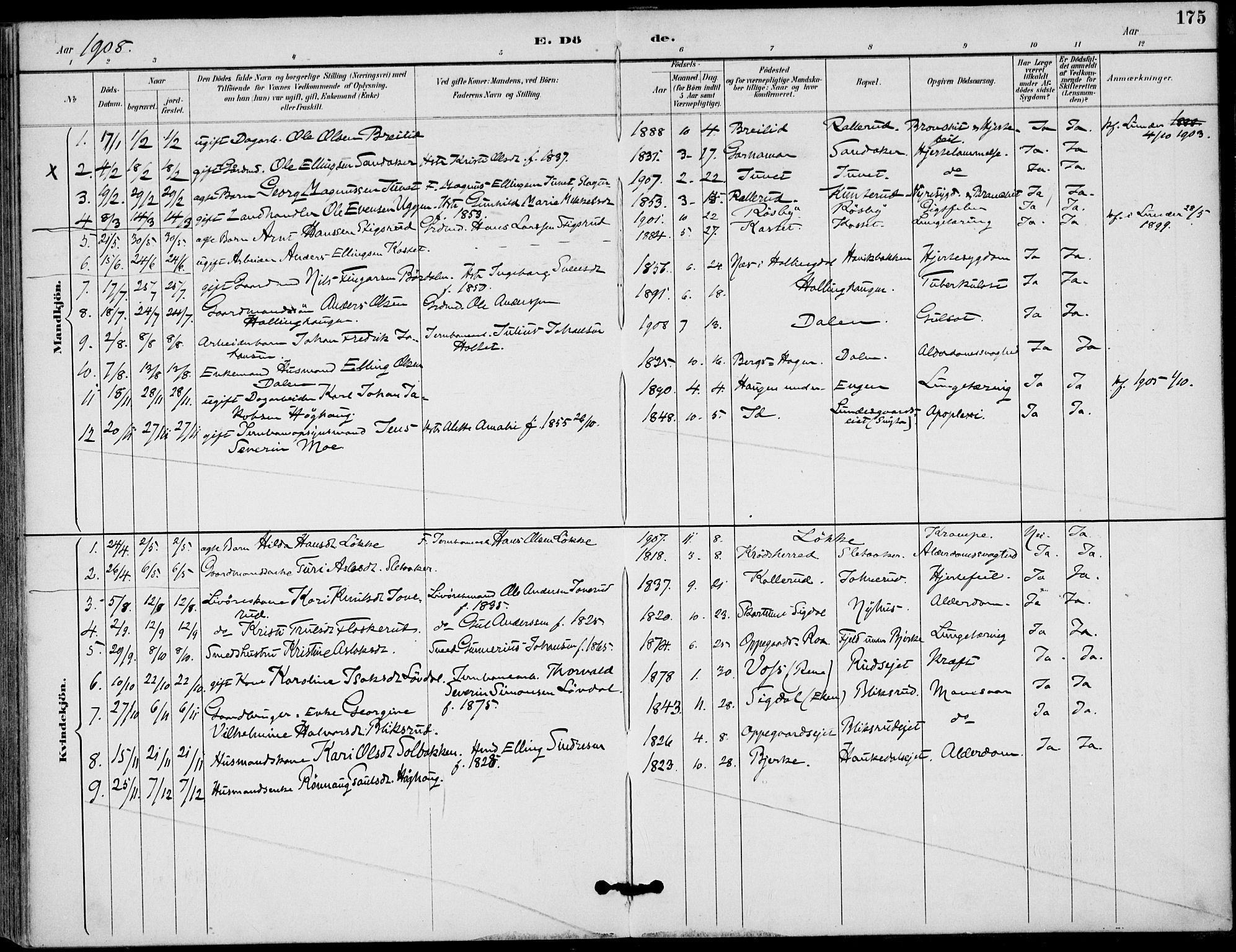 Lunder kirkebøker, SAKO/A-629/F/Fa/L0001: Parish register (official) no. I 1, 1885-1912, p. 175