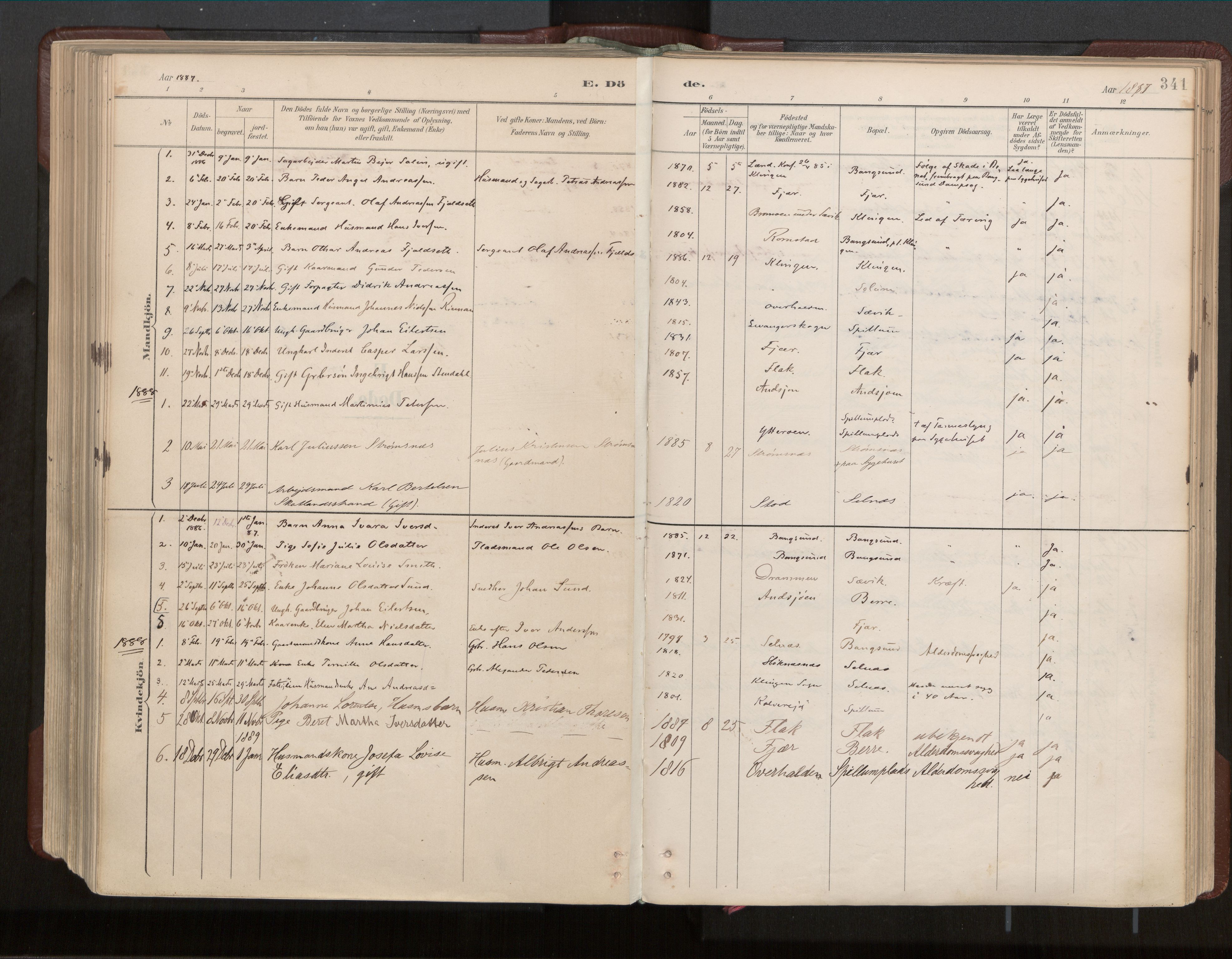 Ministerialprotokoller, klokkerbøker og fødselsregistre - Nord-Trøndelag, SAT/A-1458/770/L0589: Parish register (official) no. 770A03, 1887-1929, p. 341