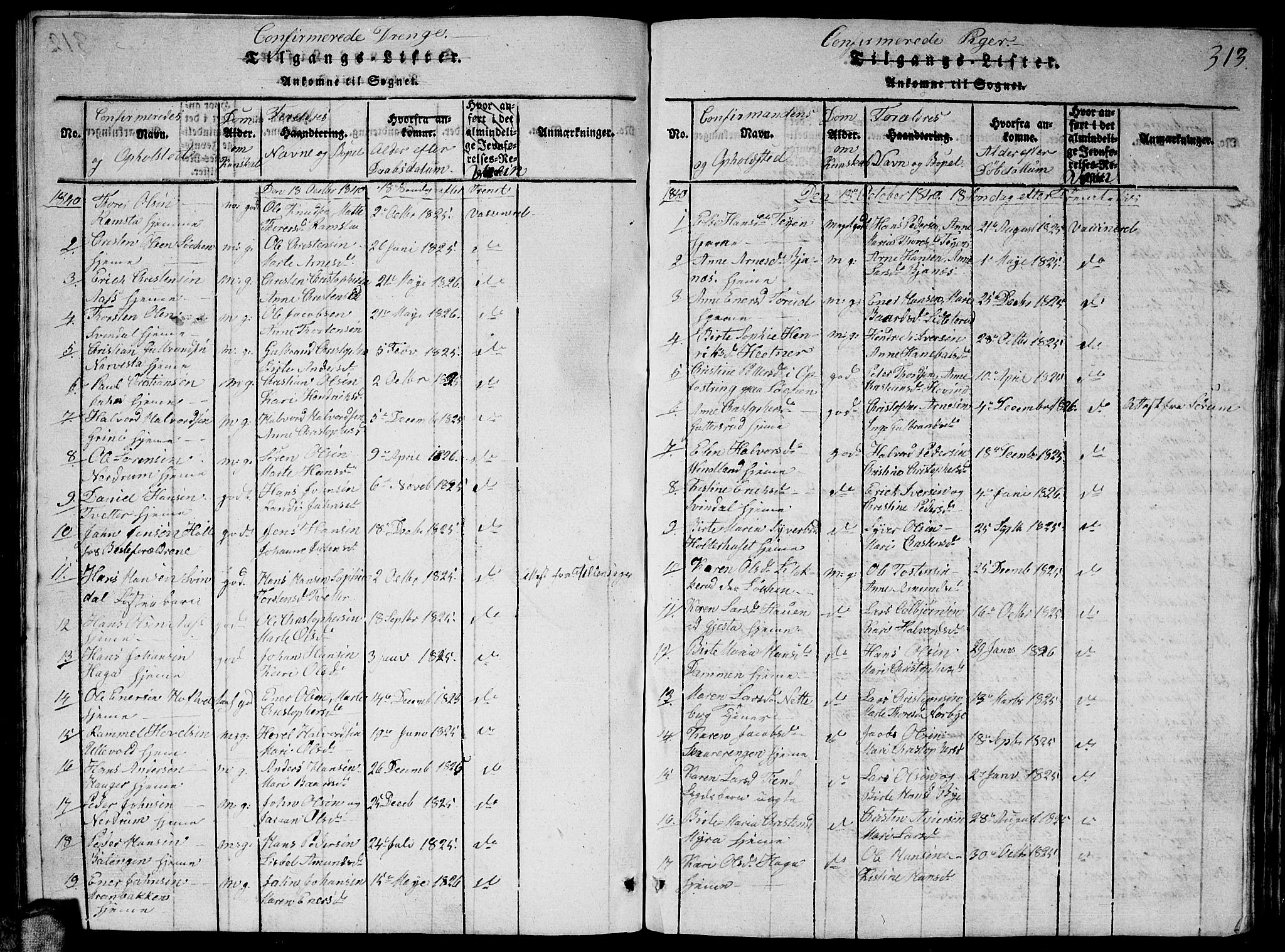 Fet prestekontor Kirkebøker, AV/SAO-A-10370a/G/Ga/L0001: Parish register (copy) no. I 1, 1815-1842, p. 313